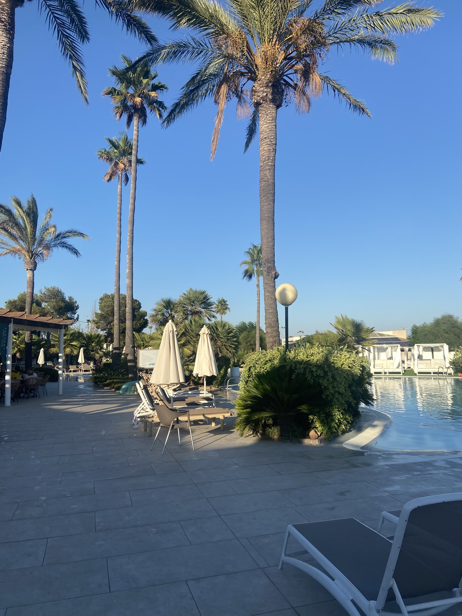 Swimming pool, sun loungers and palm trees at Blau Hotel, Colonia Sant Jordi, Mallorca.