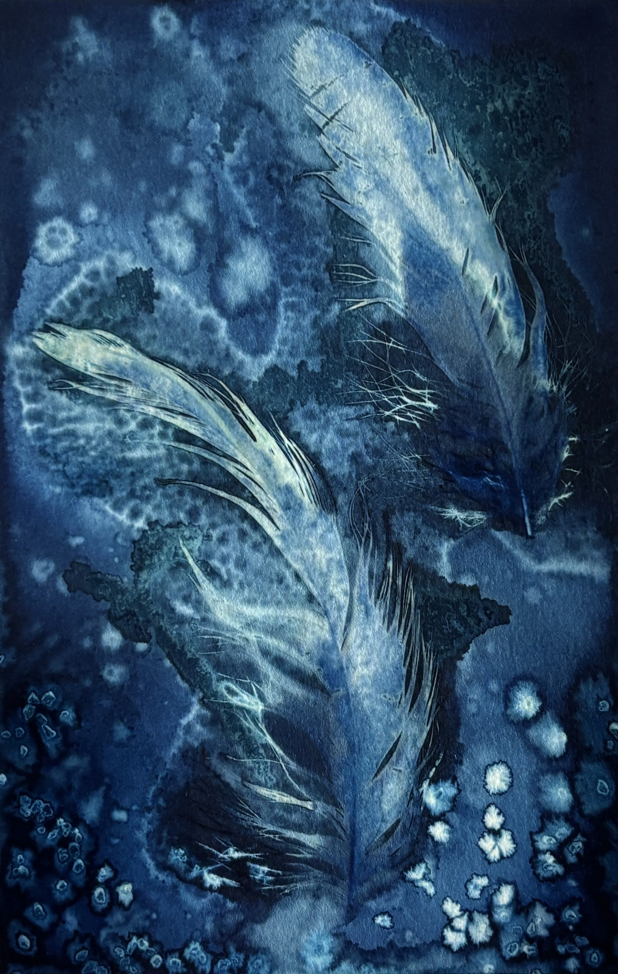 Wet cyanotype featuring large white feathers and swirling patterns in shades of blue.