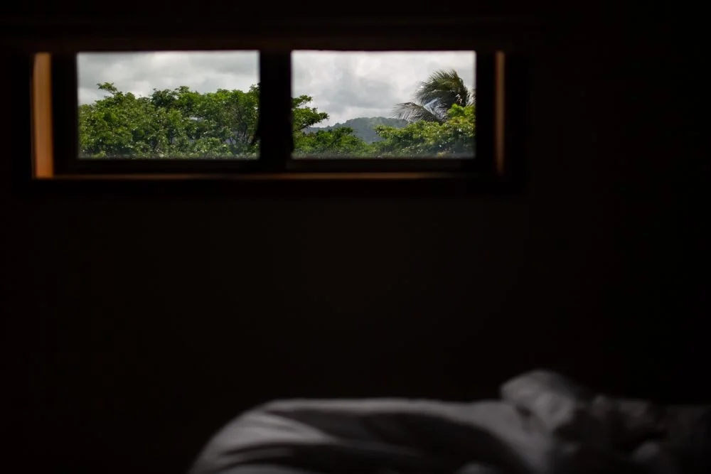 bedroom and palm trees.jpg