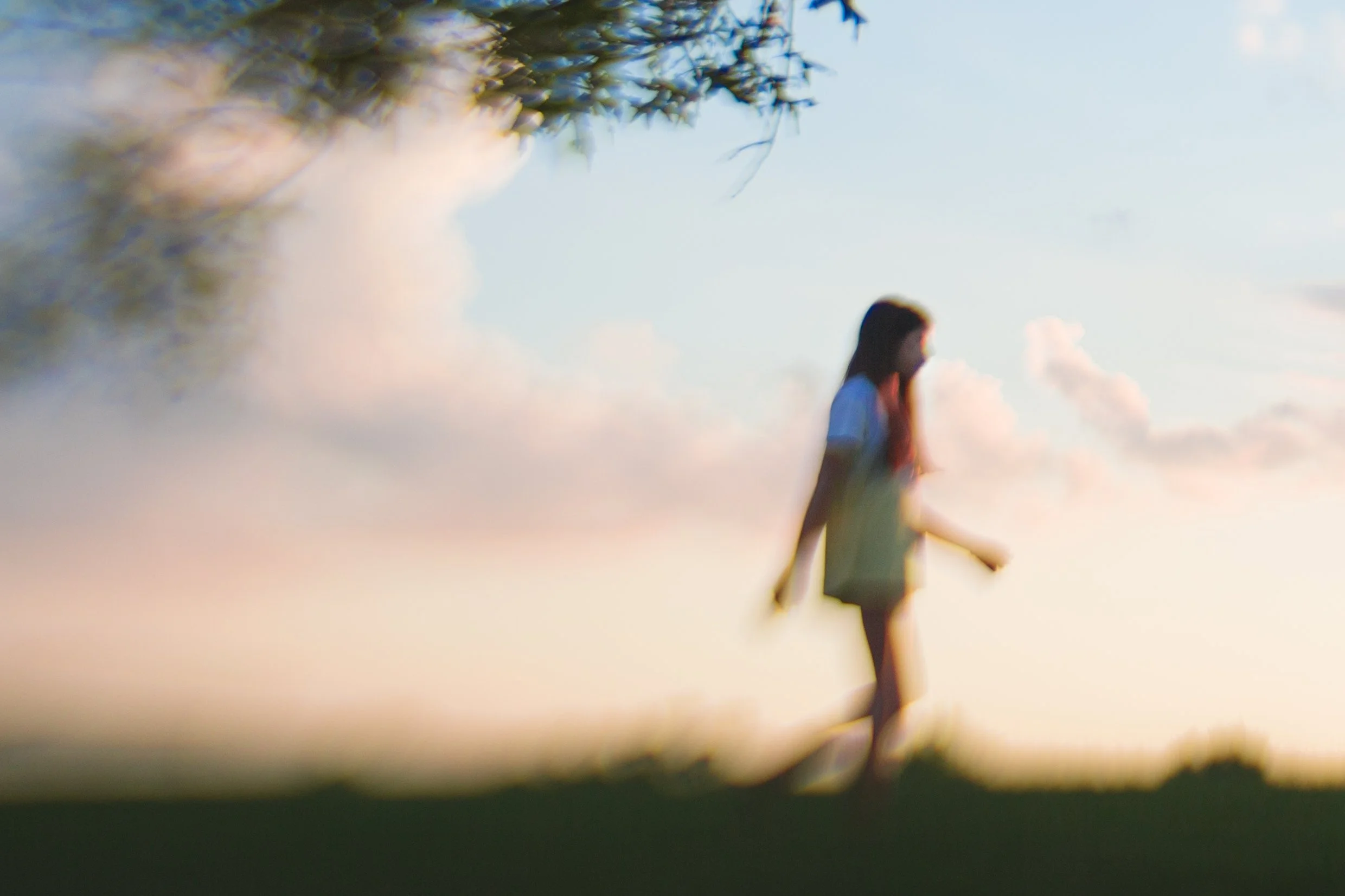 pink blur trees bright.jpg