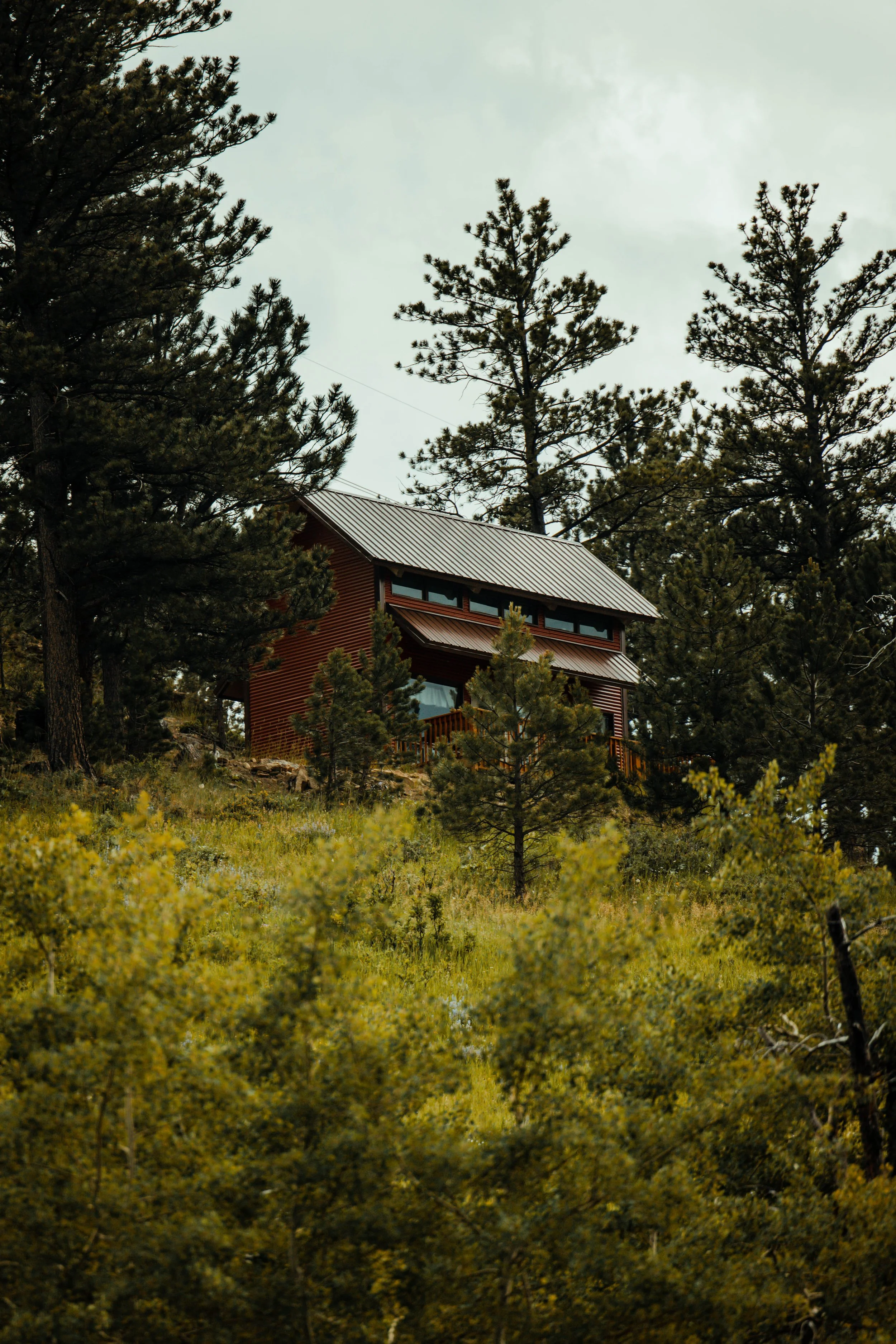 Montana-12.jpg