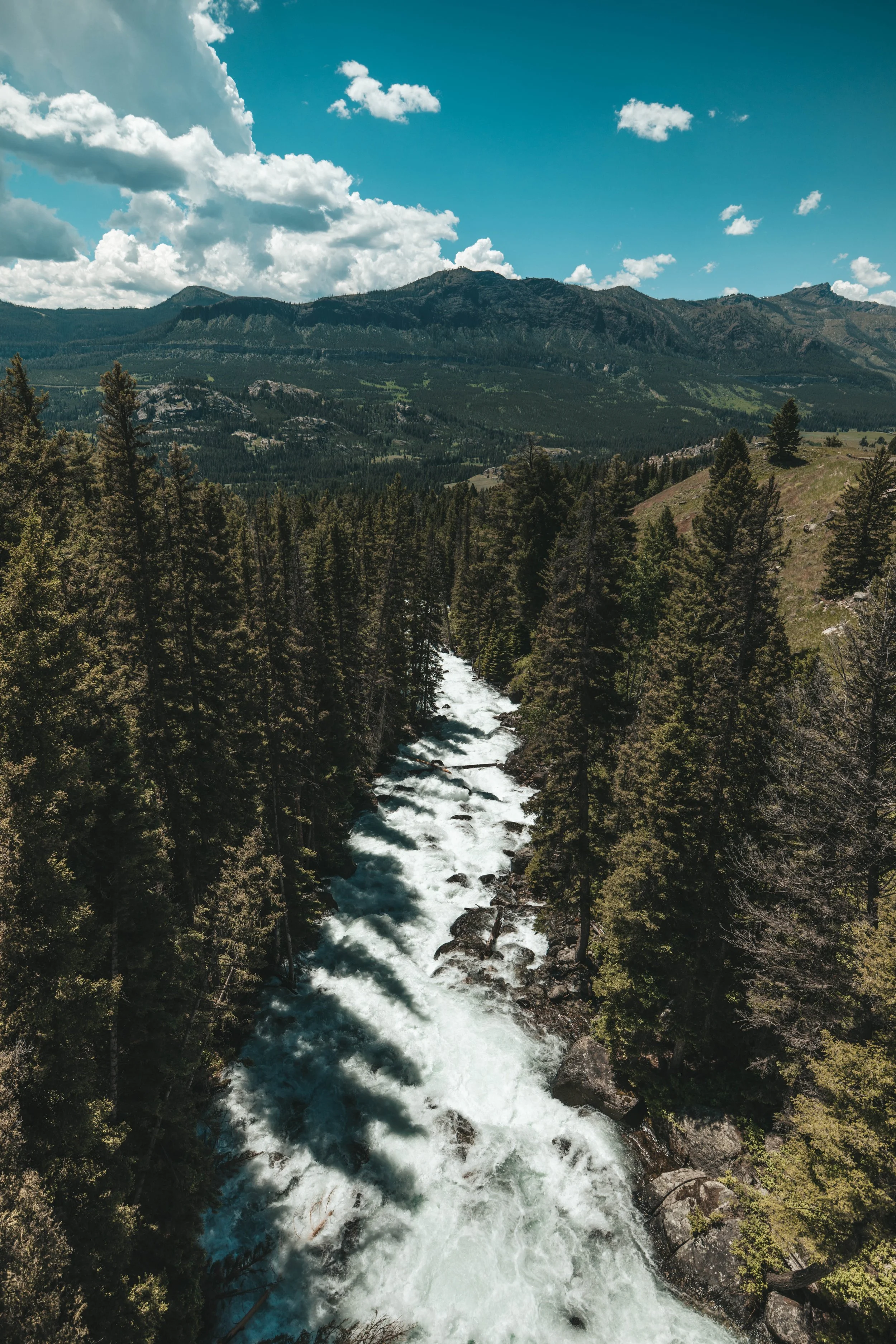 Montana-43.jpg
