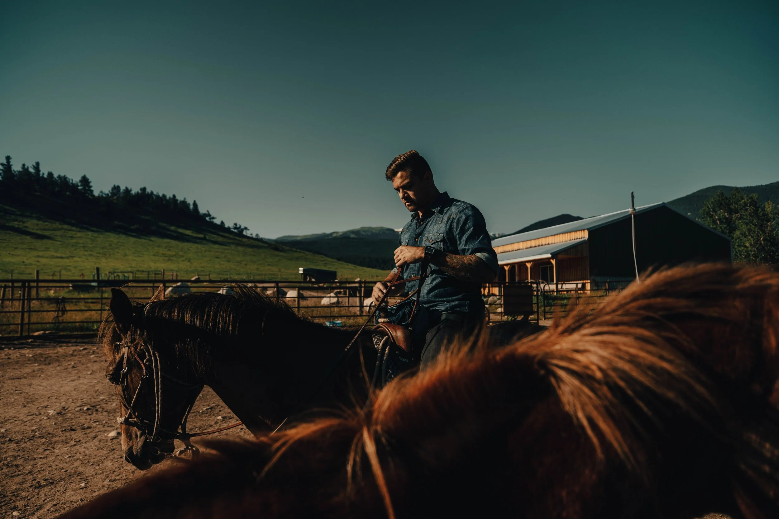 Montana-202.jpg