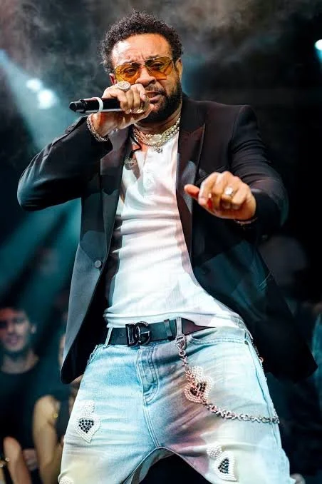 shaggy perform.jpg