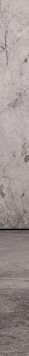 Spacer- Grey concrete.jpg