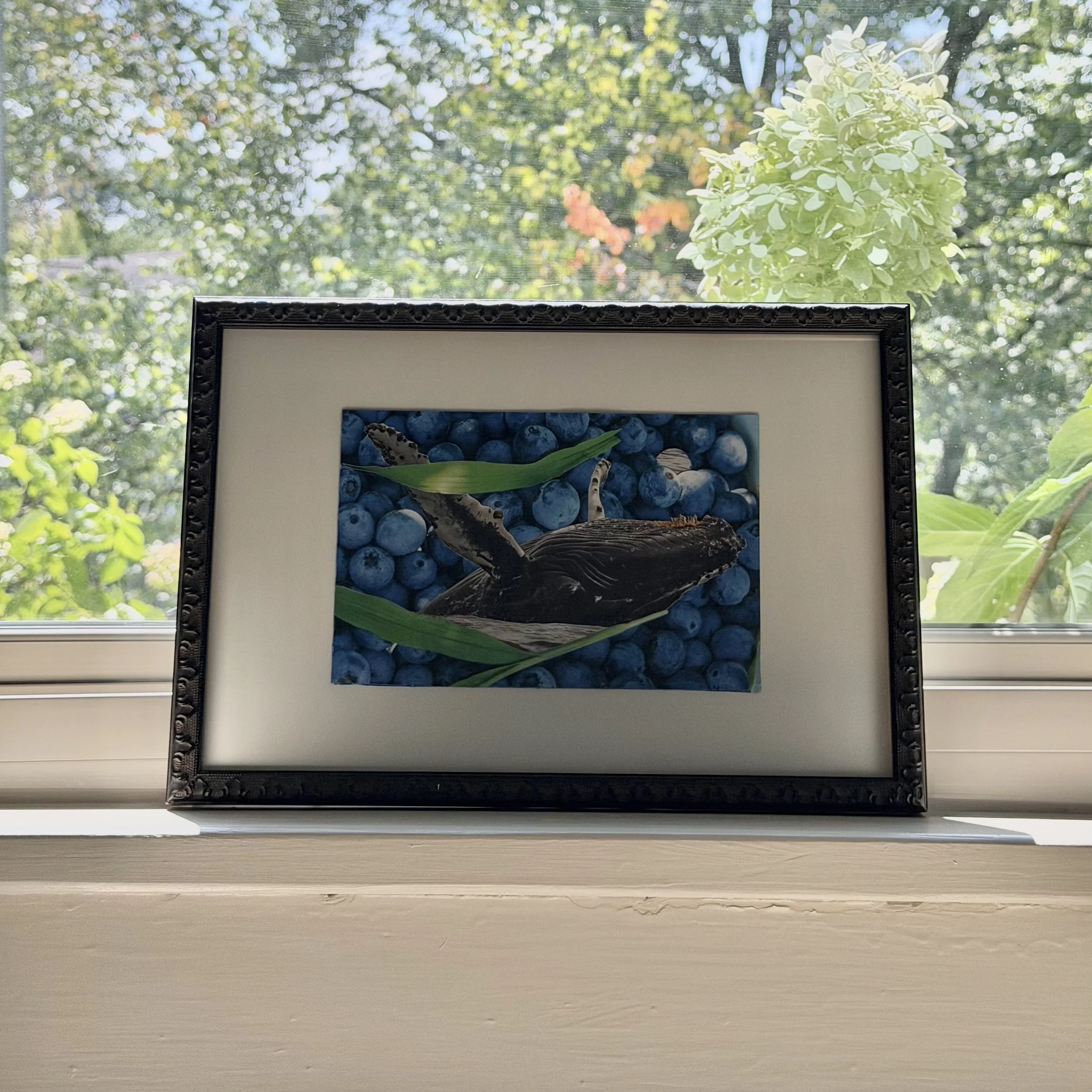 bluebreach-framed-001.jpg