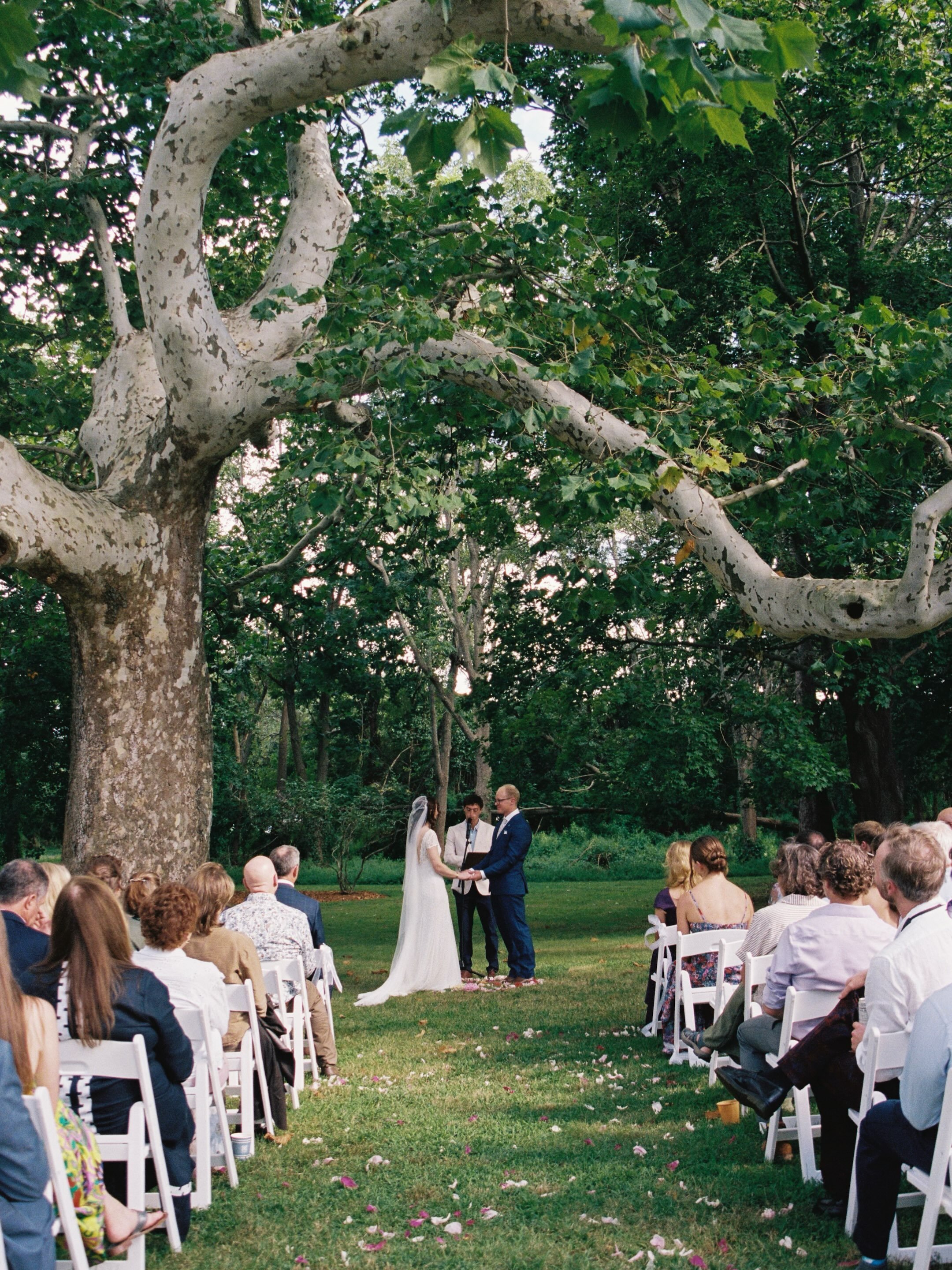 On September 5th, Molly married Corbin under the Sycamore tree at her grandparents house 🤍

shot on digital, 35mm and polaroid 

dress: @otaduy
rings: @dearsurvivor / @bloedstone 
flowers: @north_fork_flower_farm 
catering: @lombardislovelanemarket 