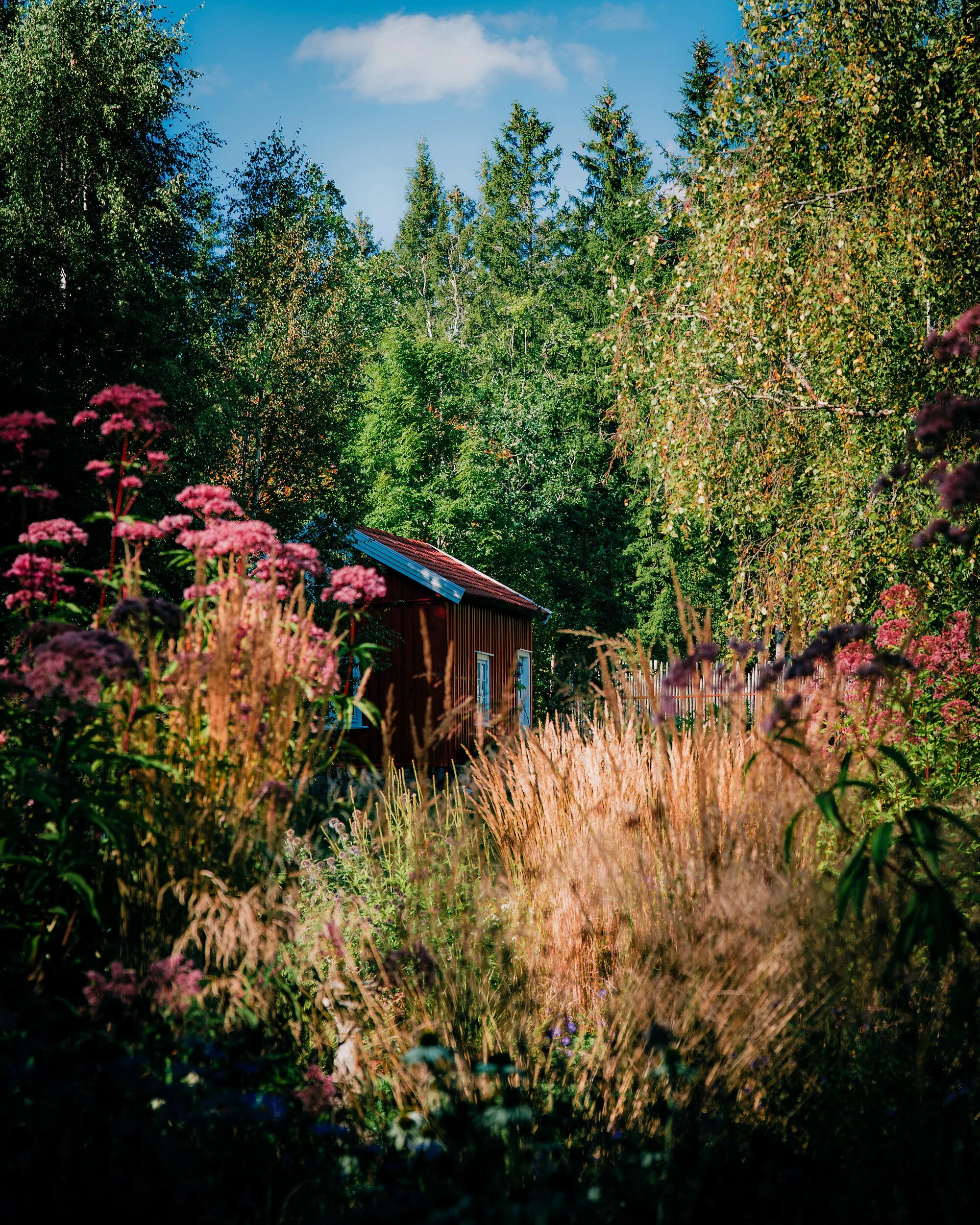 gardens-21.jpg