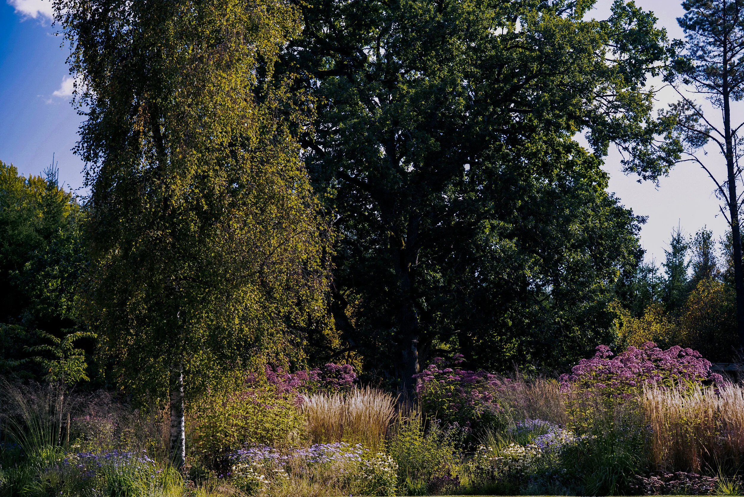 gardens-12.jpg