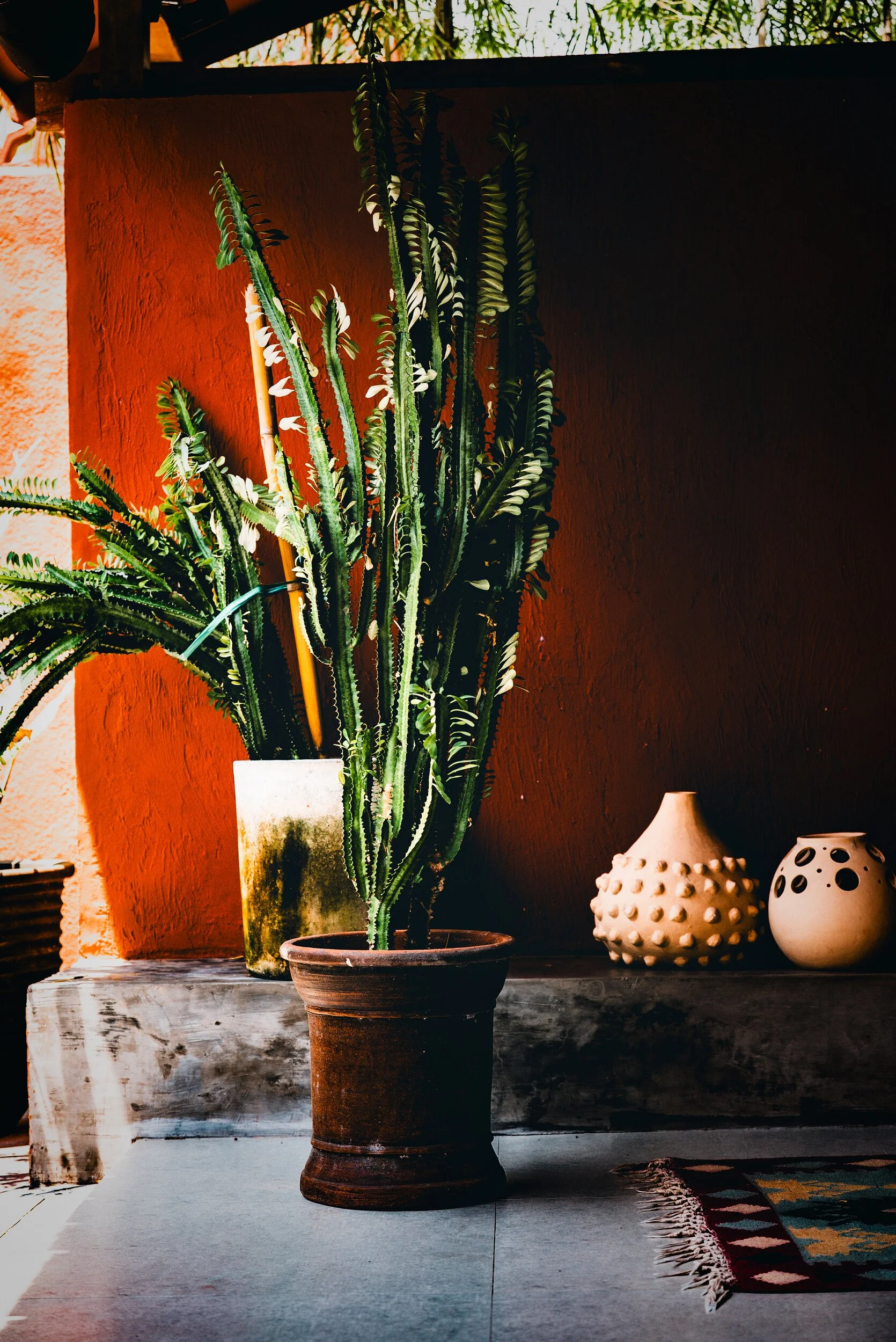 properties-05.jpg