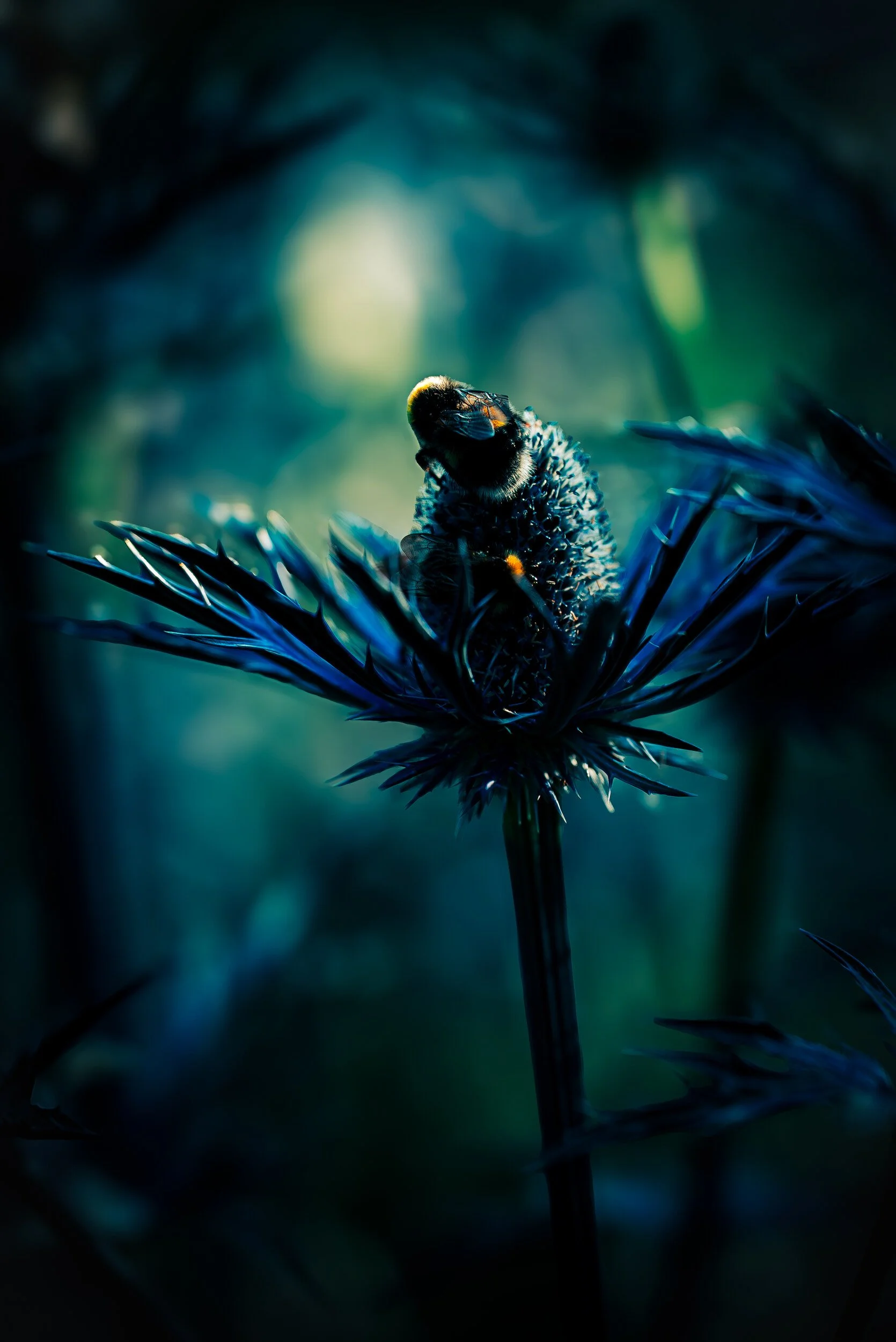 gardens-09.jpg