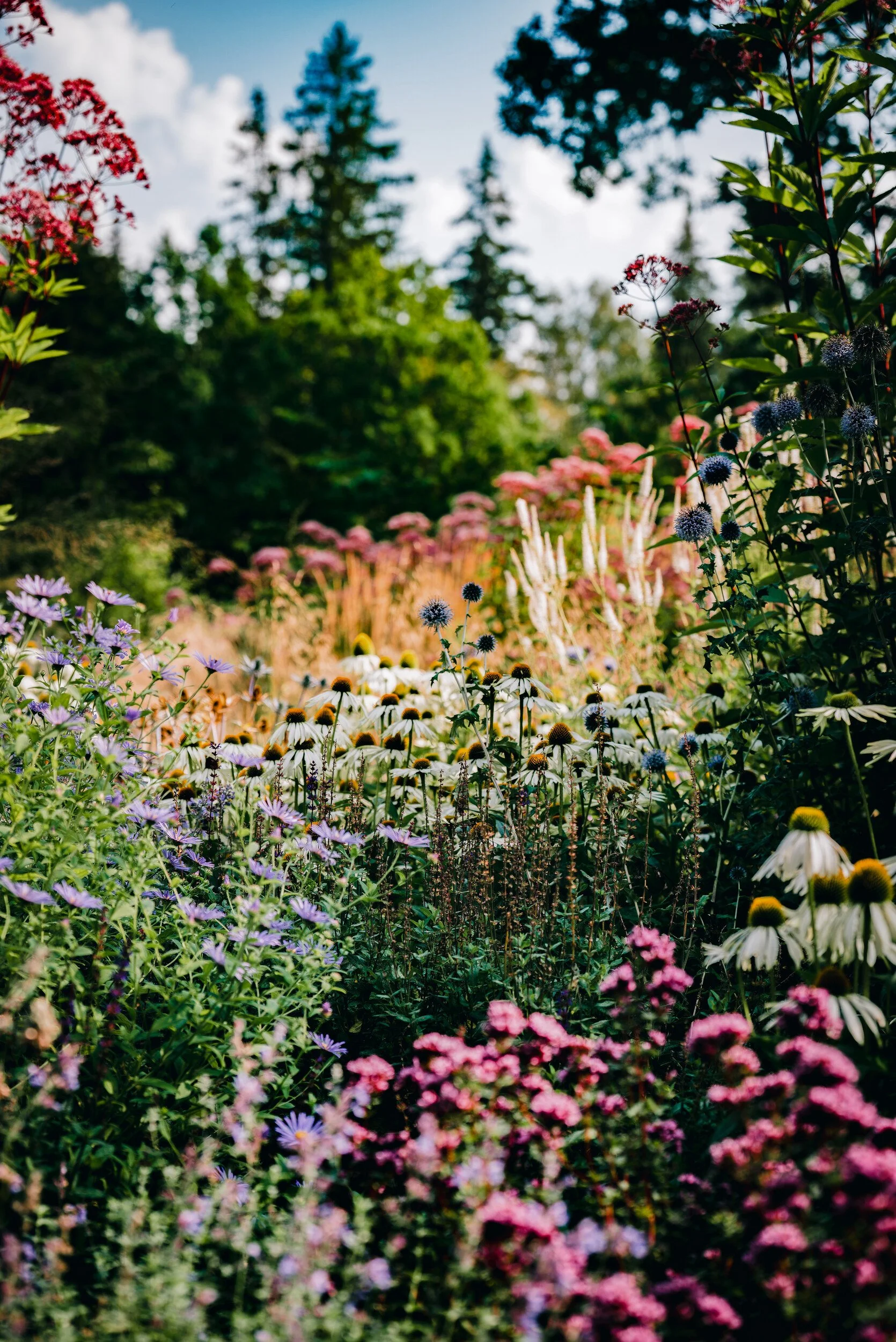 Gardens & landscapes