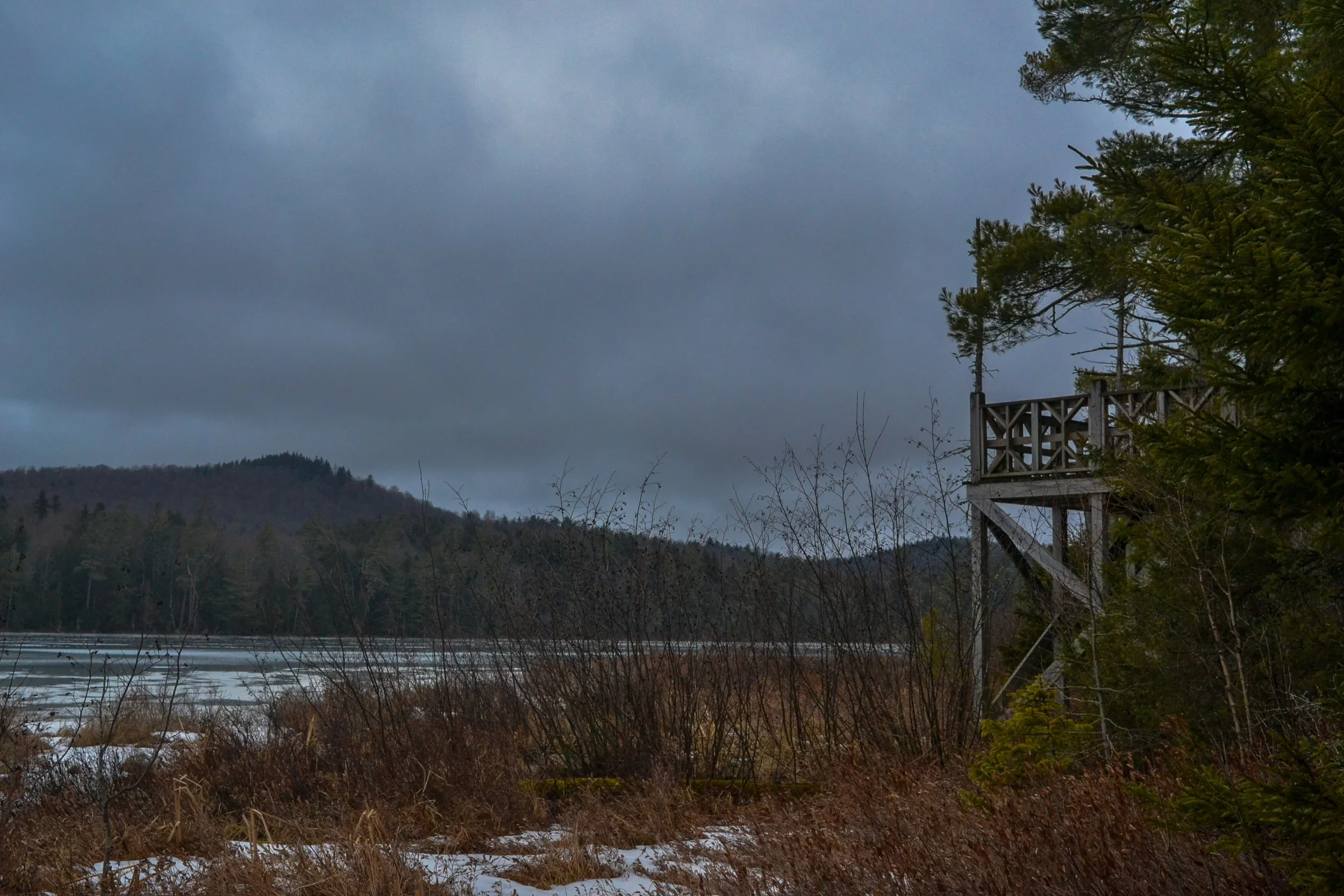 DSC_1649.jpg