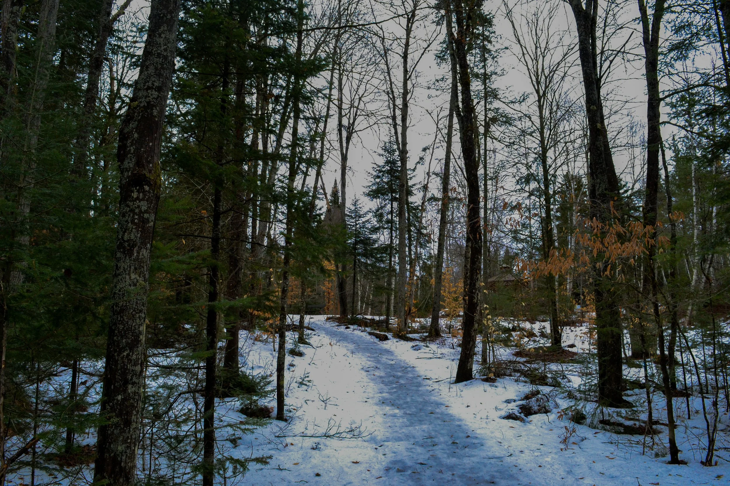 DSC_1589.jpg