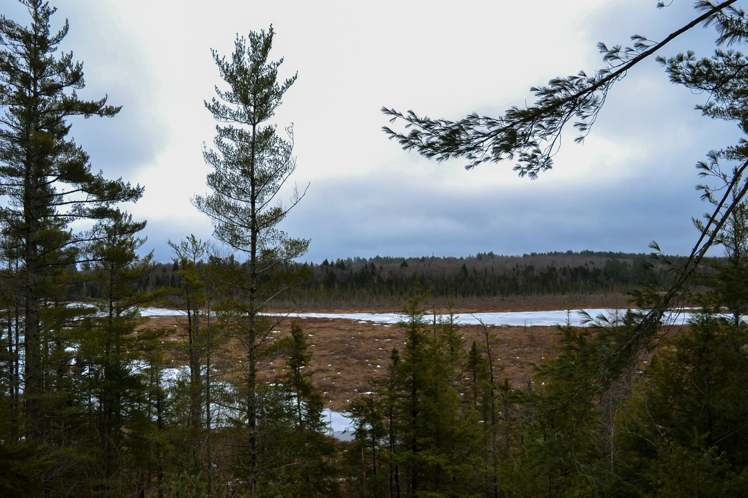 DSC_1577.jpg