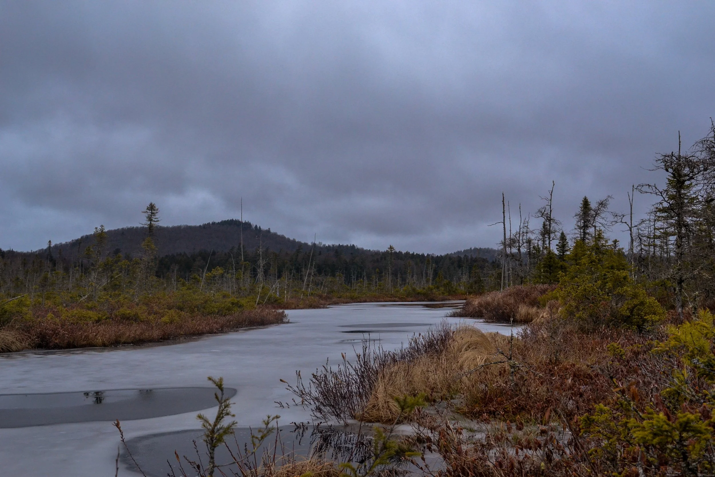 DSC_1673.jpg