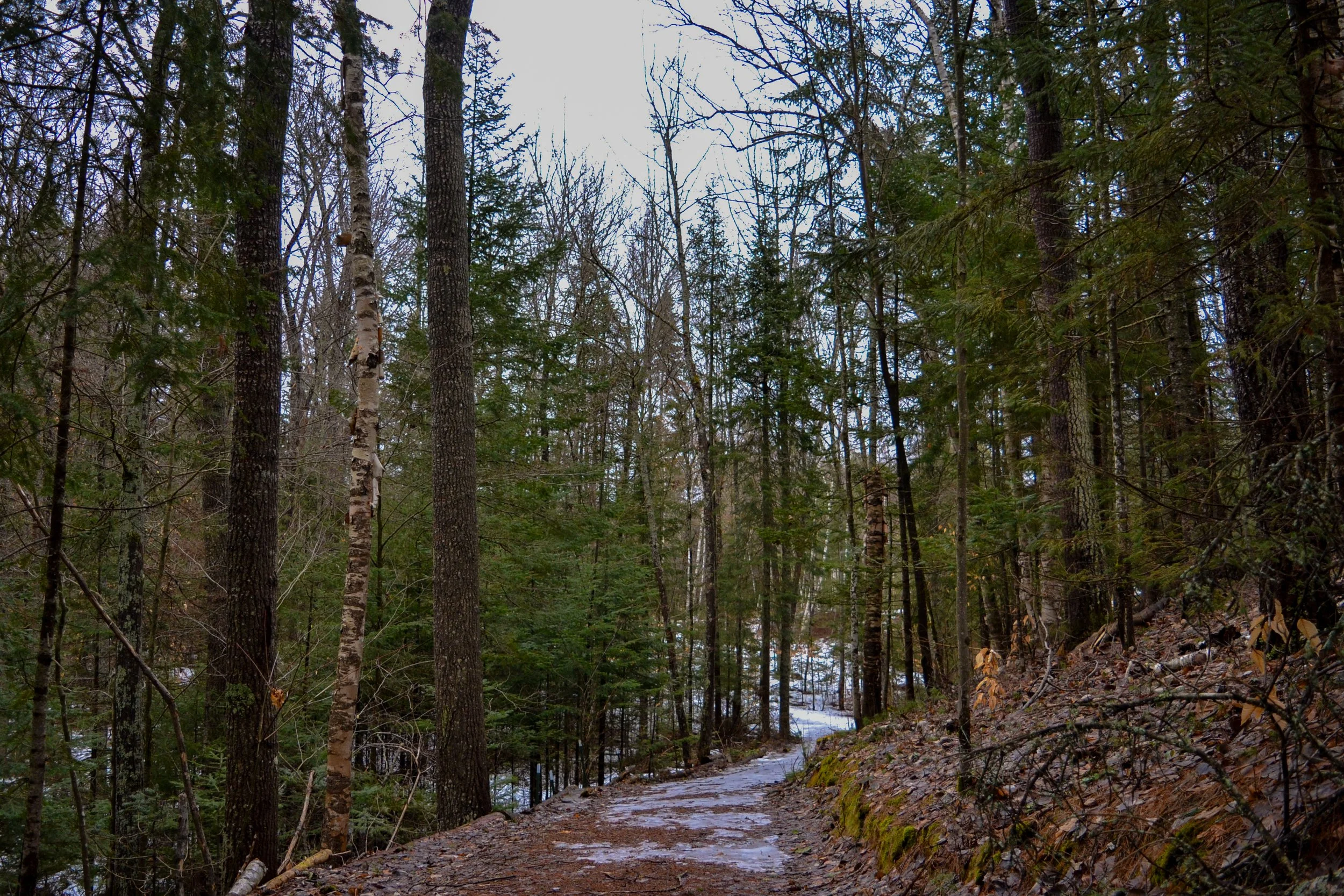 DSC_1583.jpg