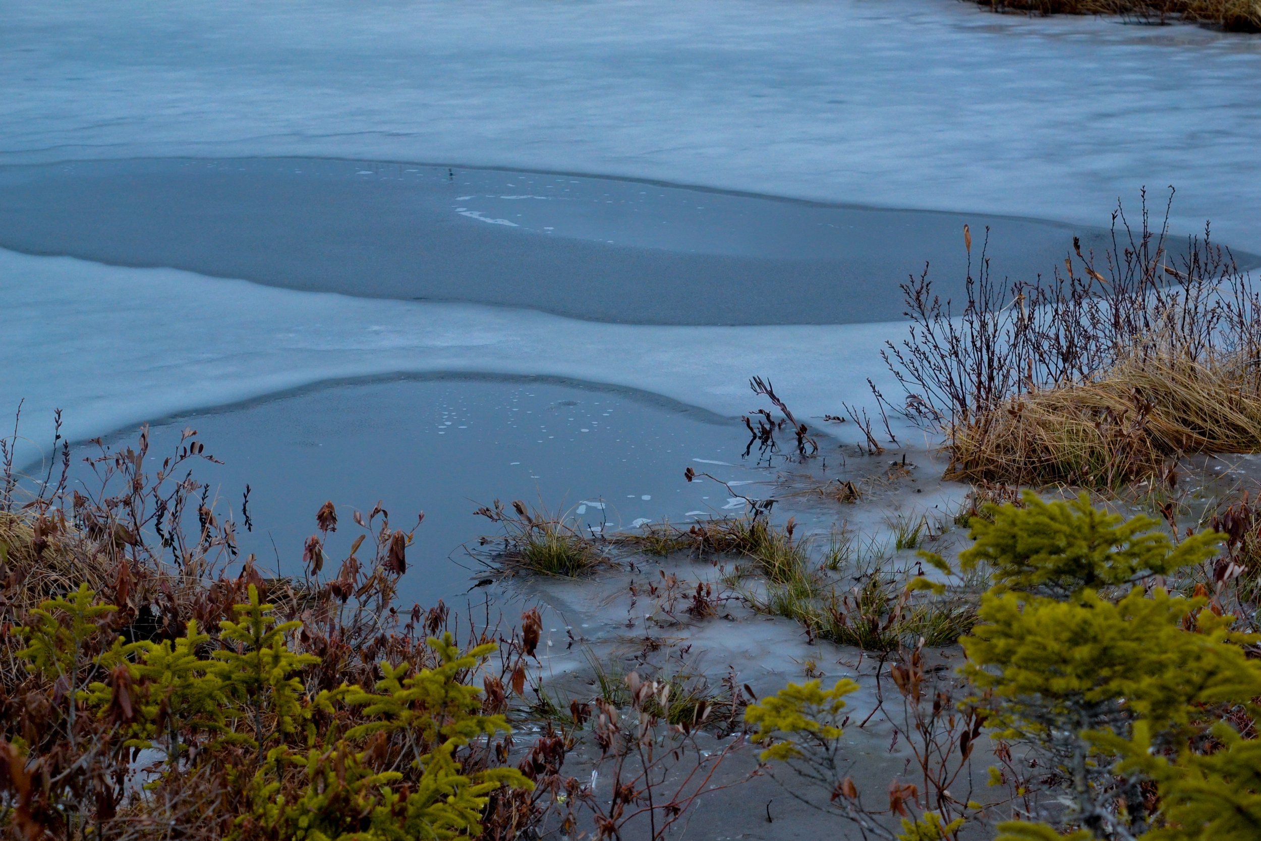 DSC_1666.jpg