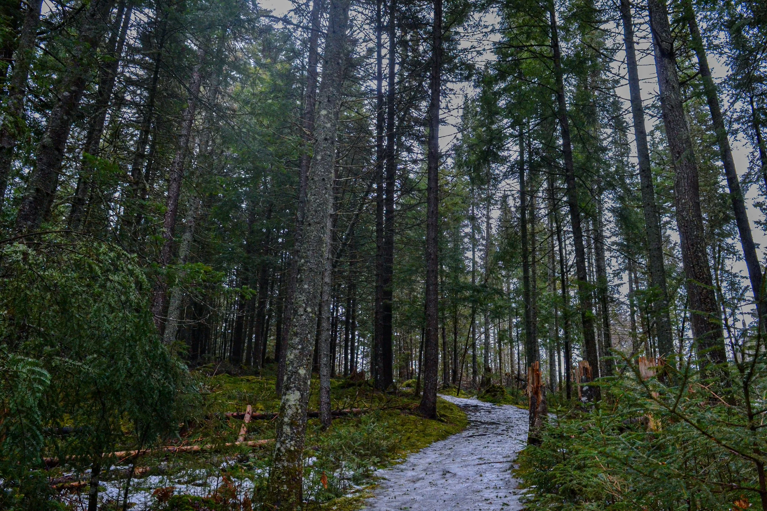 DSC_1617.jpg
