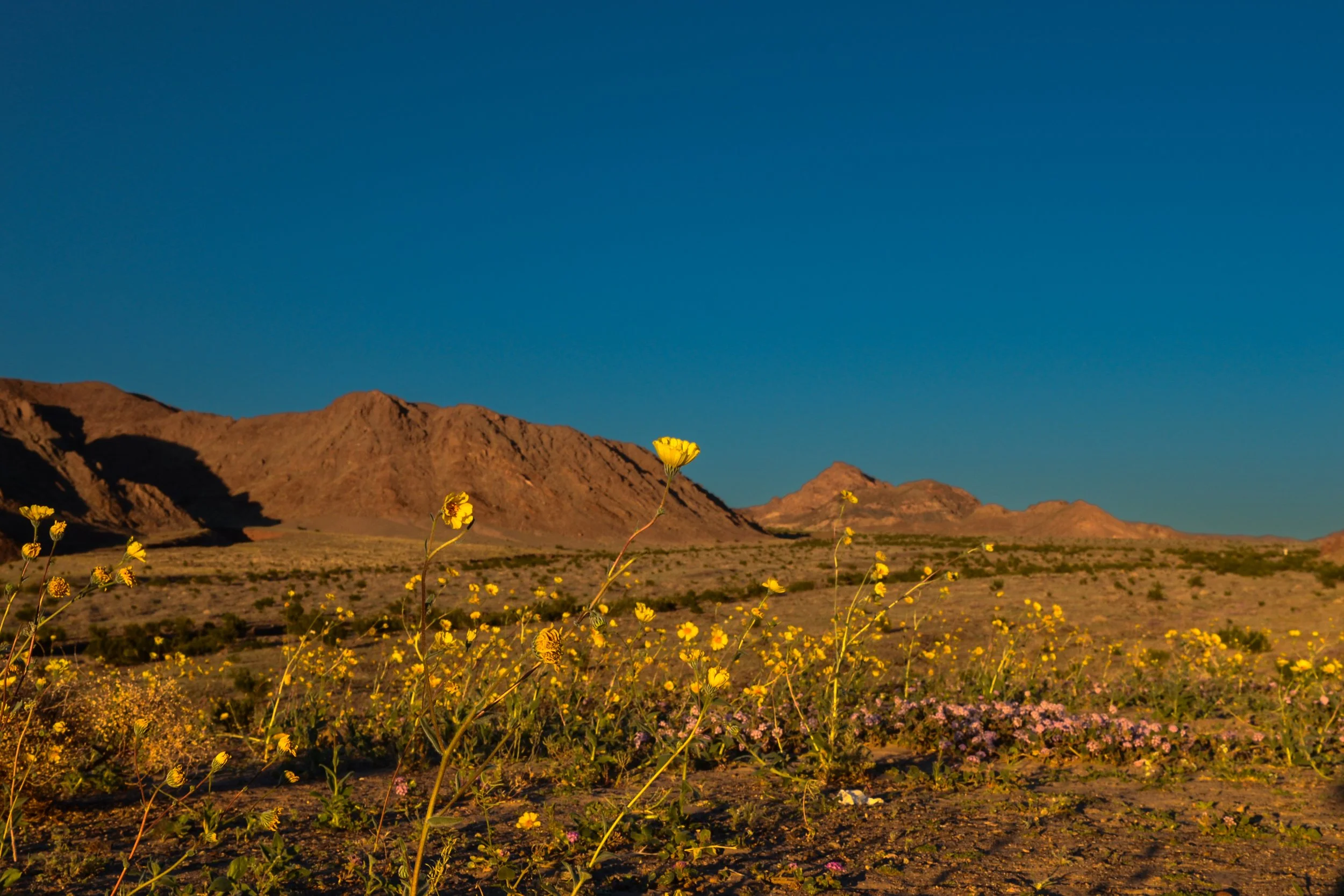 salt flats-5.jpg