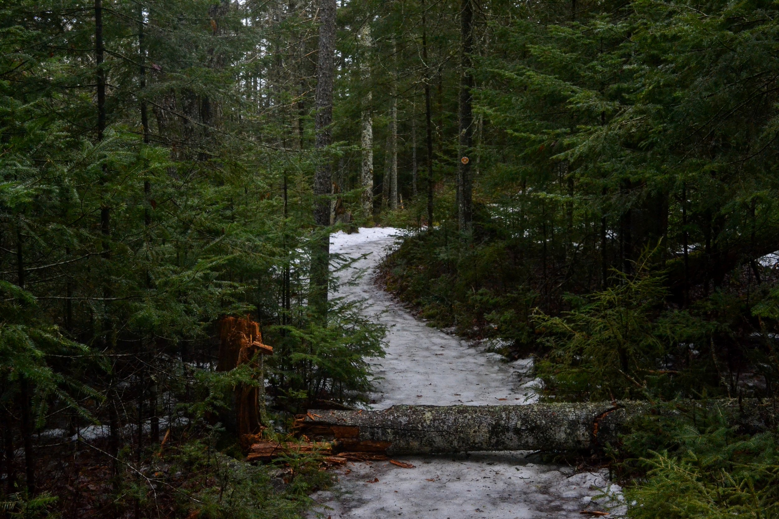 DSC_1636.jpg