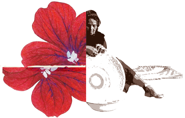 Vintage-style woman sitting beside a large red flower illustration