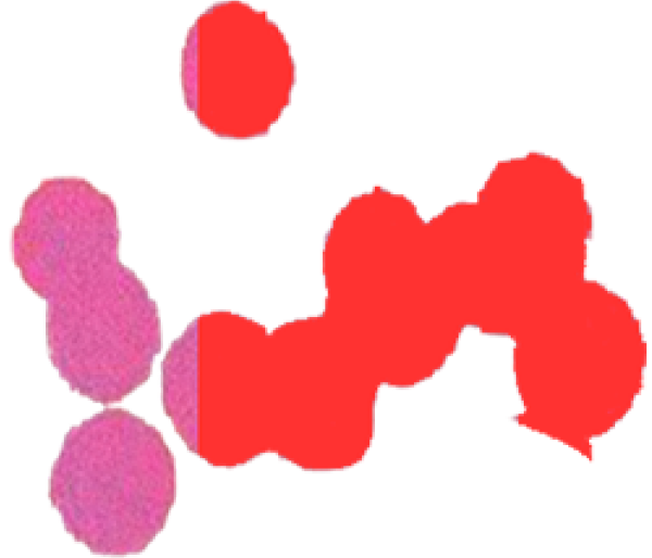 Colorful abstract cluster of overlapping red and pink circular shapes