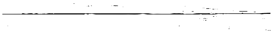 A black line. Decorative only.