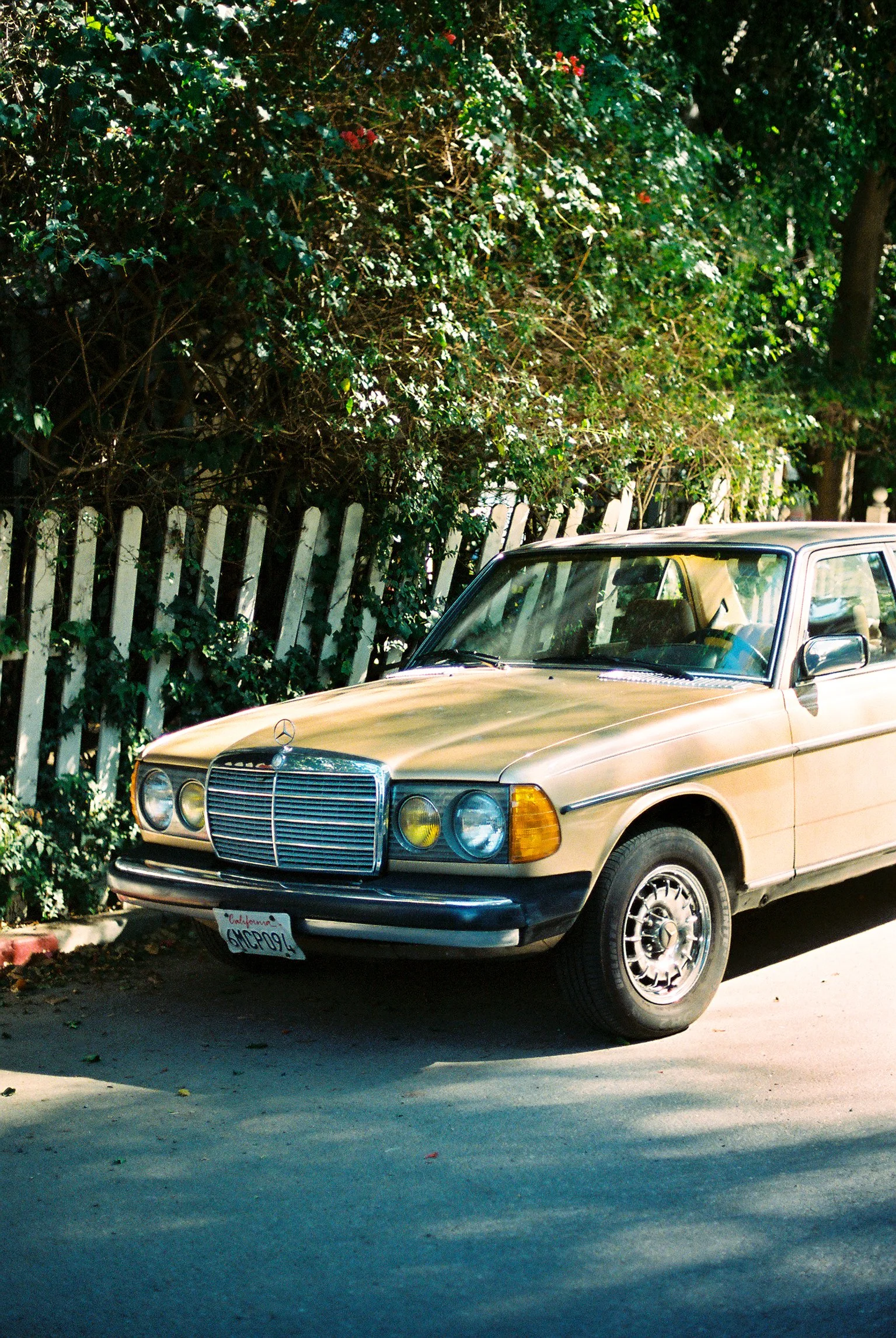A beige vintage Mercedes-Benz car parked on a street next to a white picket fence with green foliage in the background.