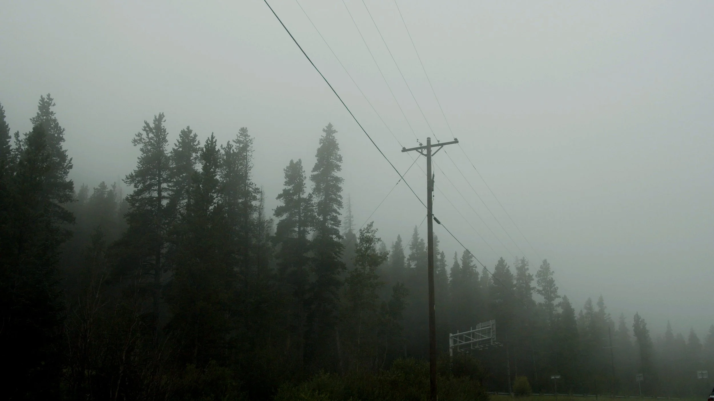 Overcast day with foggy sky, tall pine trees in the background, and utility pole with power lines in the foreground.