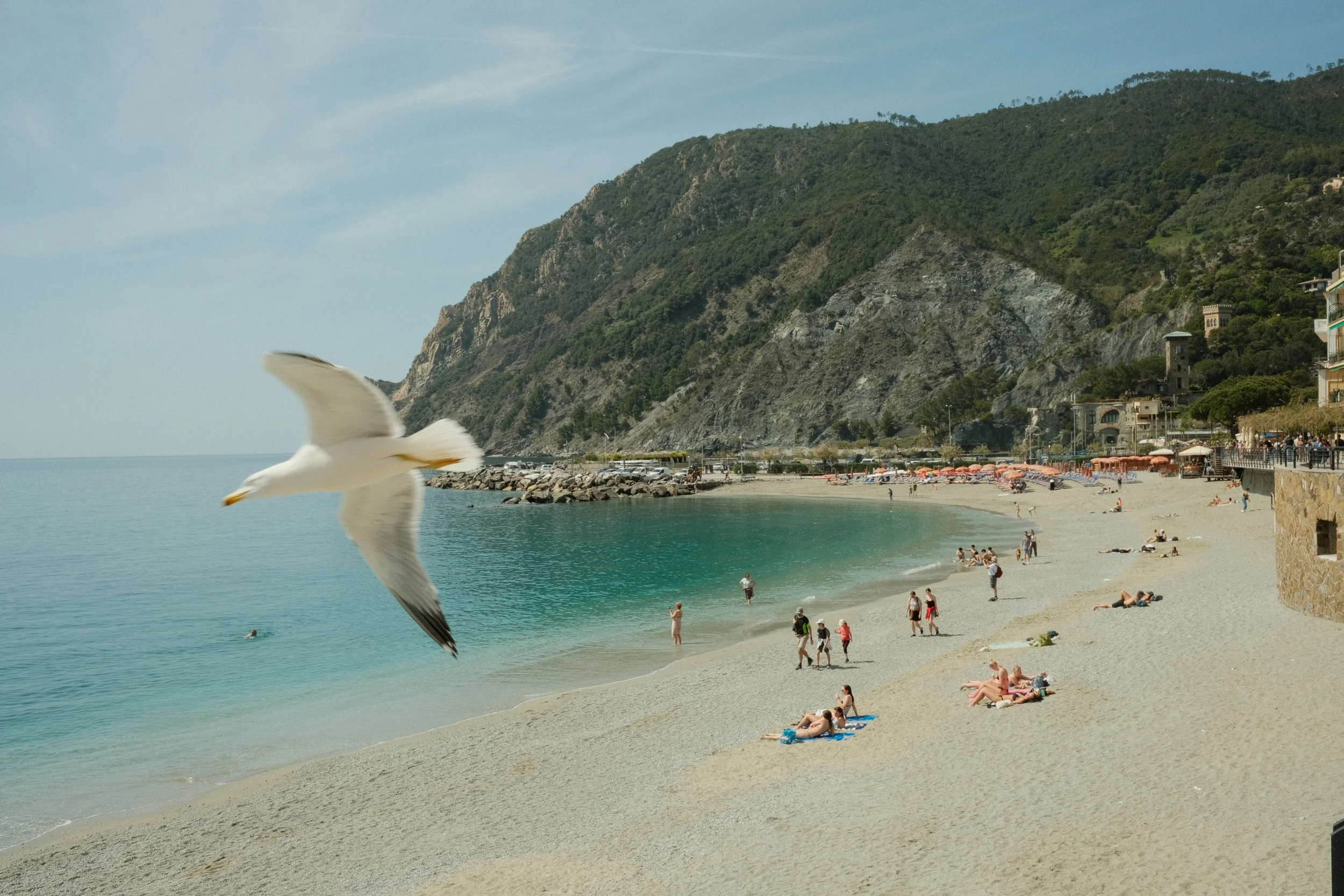 Beach scene with people sunbathing and swimming, cliffs in the background, a seagull flying in the foreground, and buildings along the shoreline.