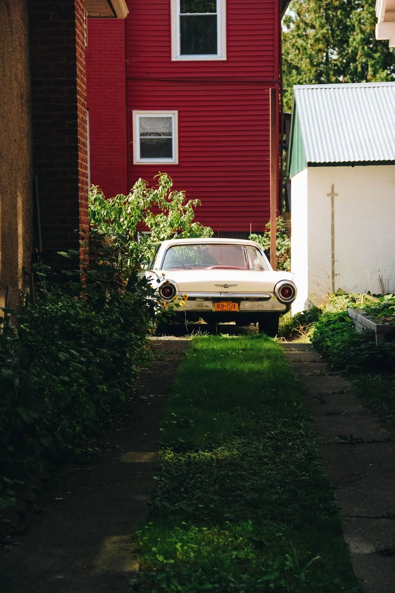 An outdoor scene showing a narrow pathway with grass and plants on both sides, leading to a white vintage car parked in front of a red house with white-framed windows and a corrugated metal roof; adjacent to a white building with a cross symbol.