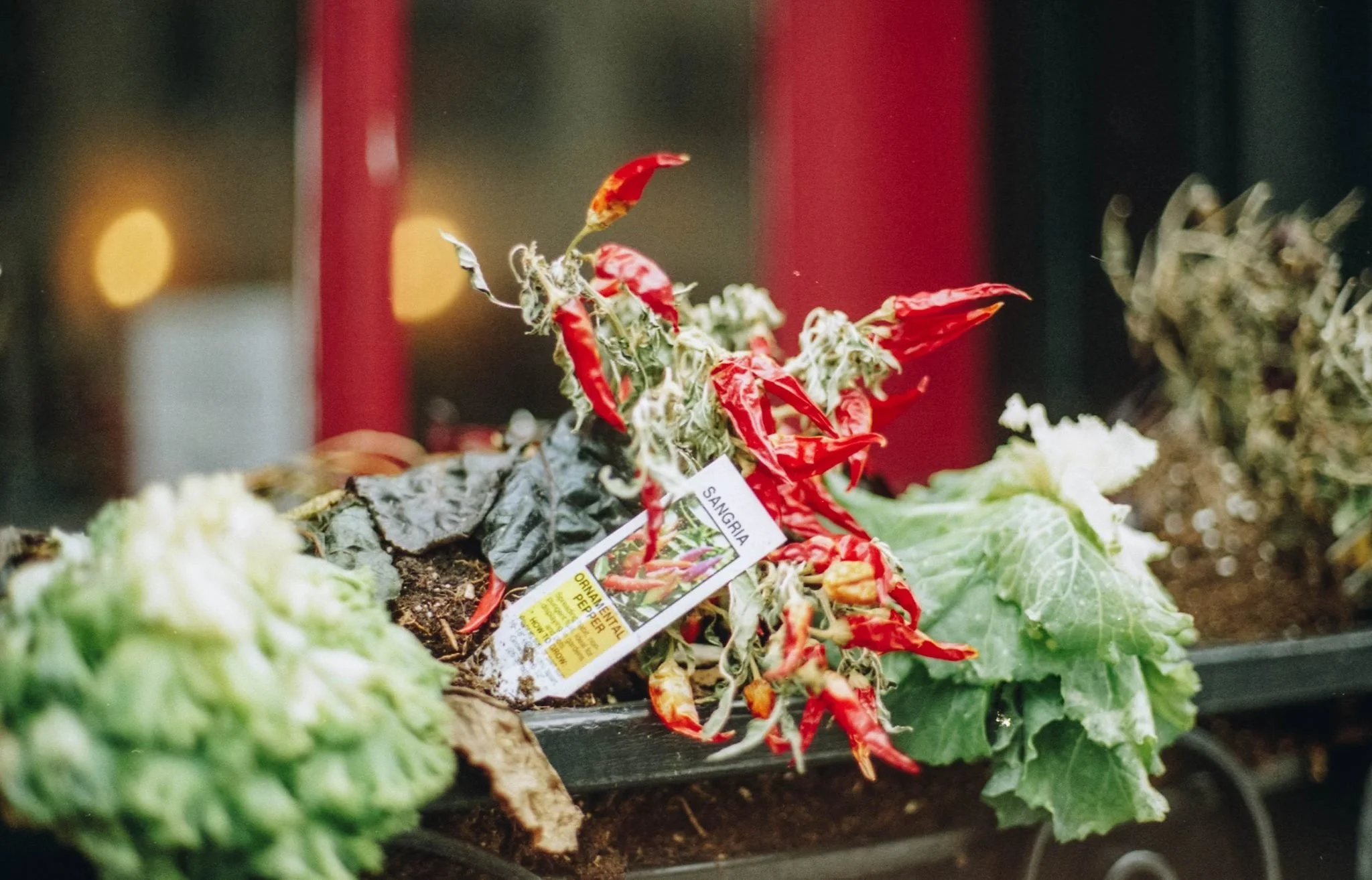 A display of dried red chili peppers and other vegetables at a market or grocery store.
