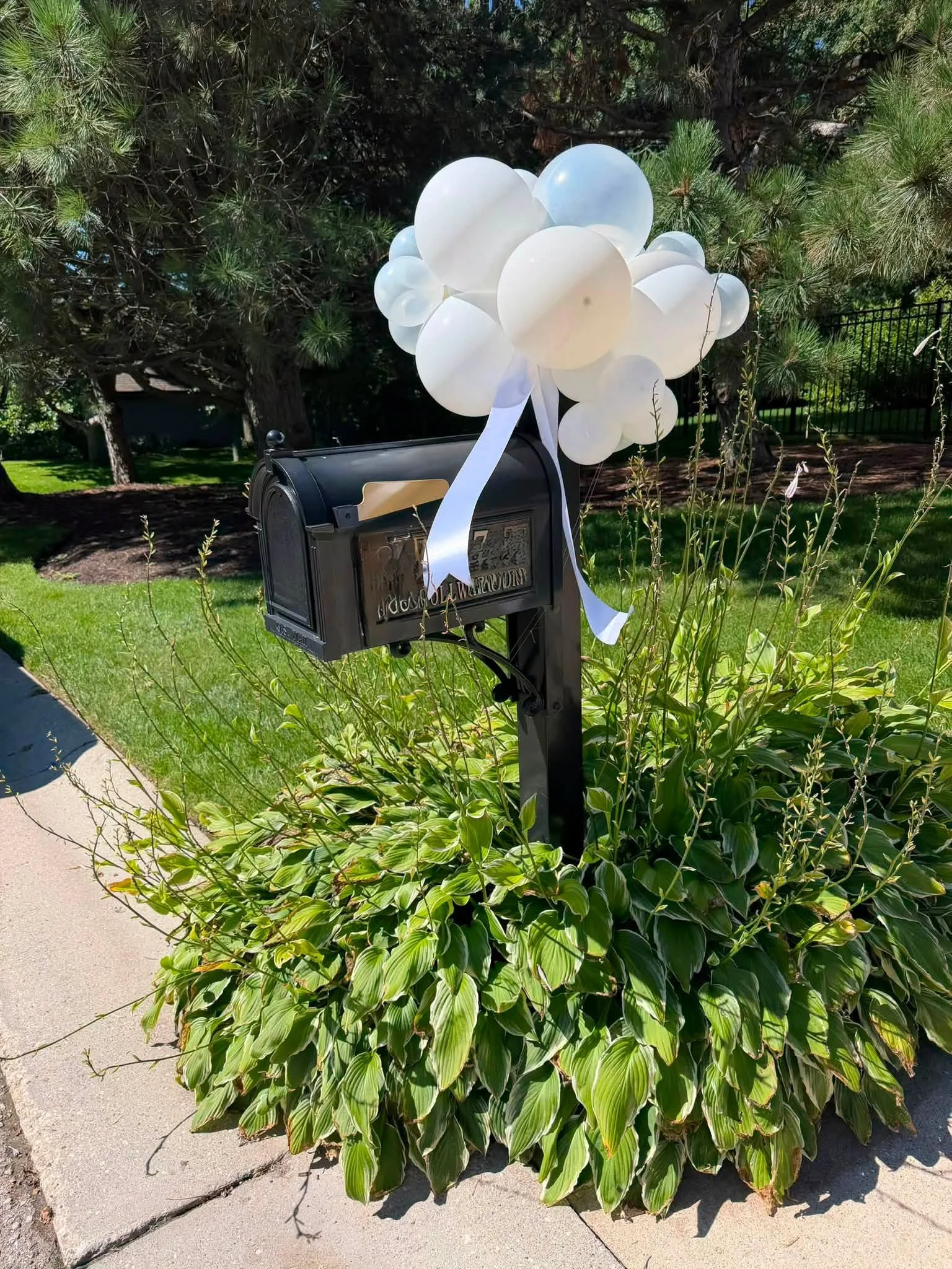 Black mailbox decorated with white balloons and ribbon in a sunny garden.