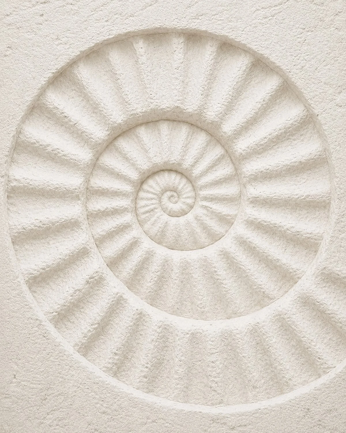 Close-up of a white spiral shell pattern with textured surface.