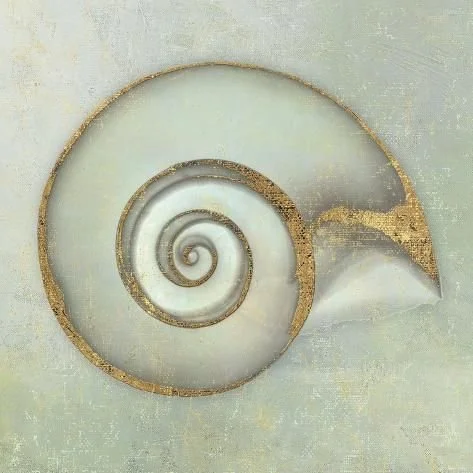 Close-up of a seashell with a spiral shape and a gold-colored edge on a textured, light-colored background.