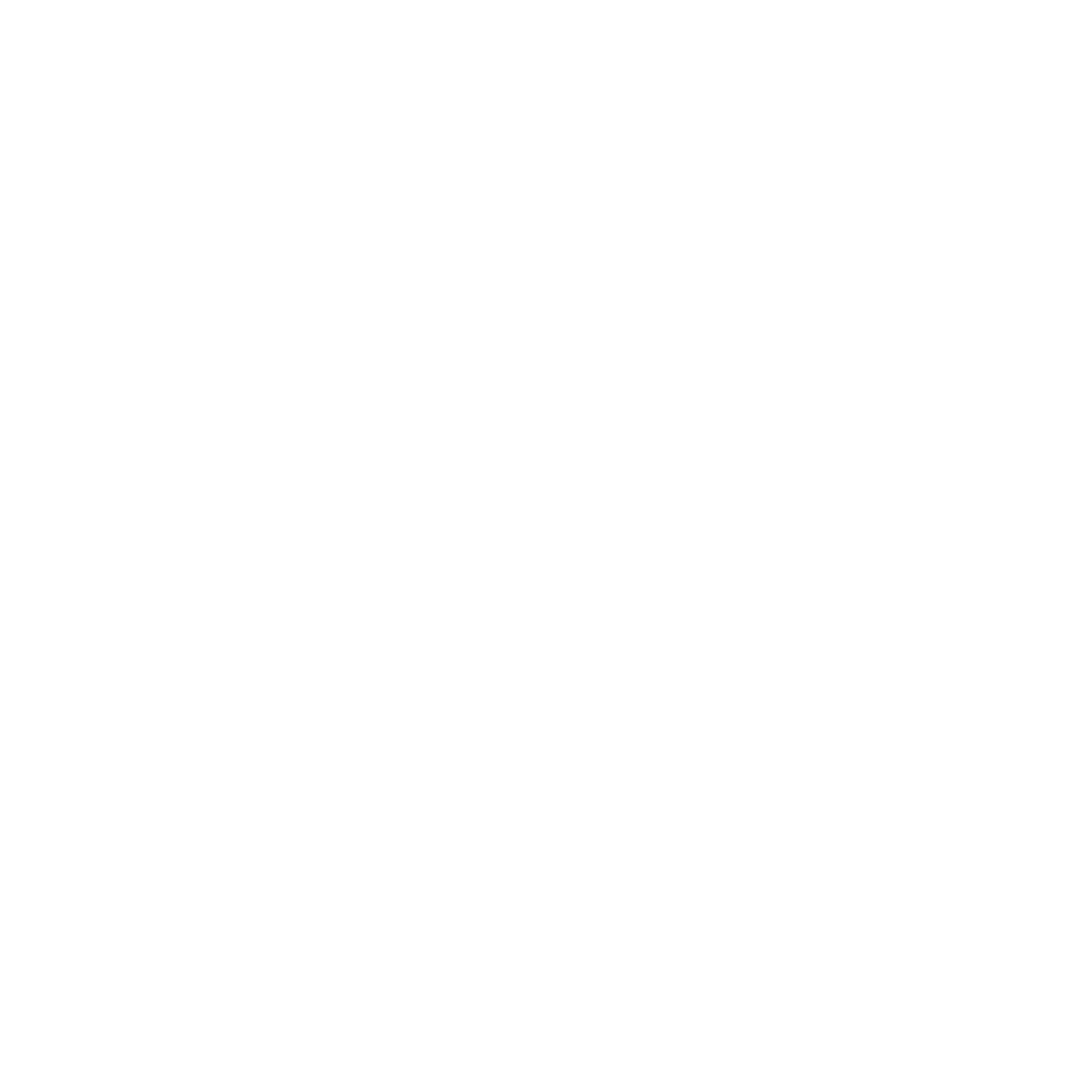 Dude With A Drone