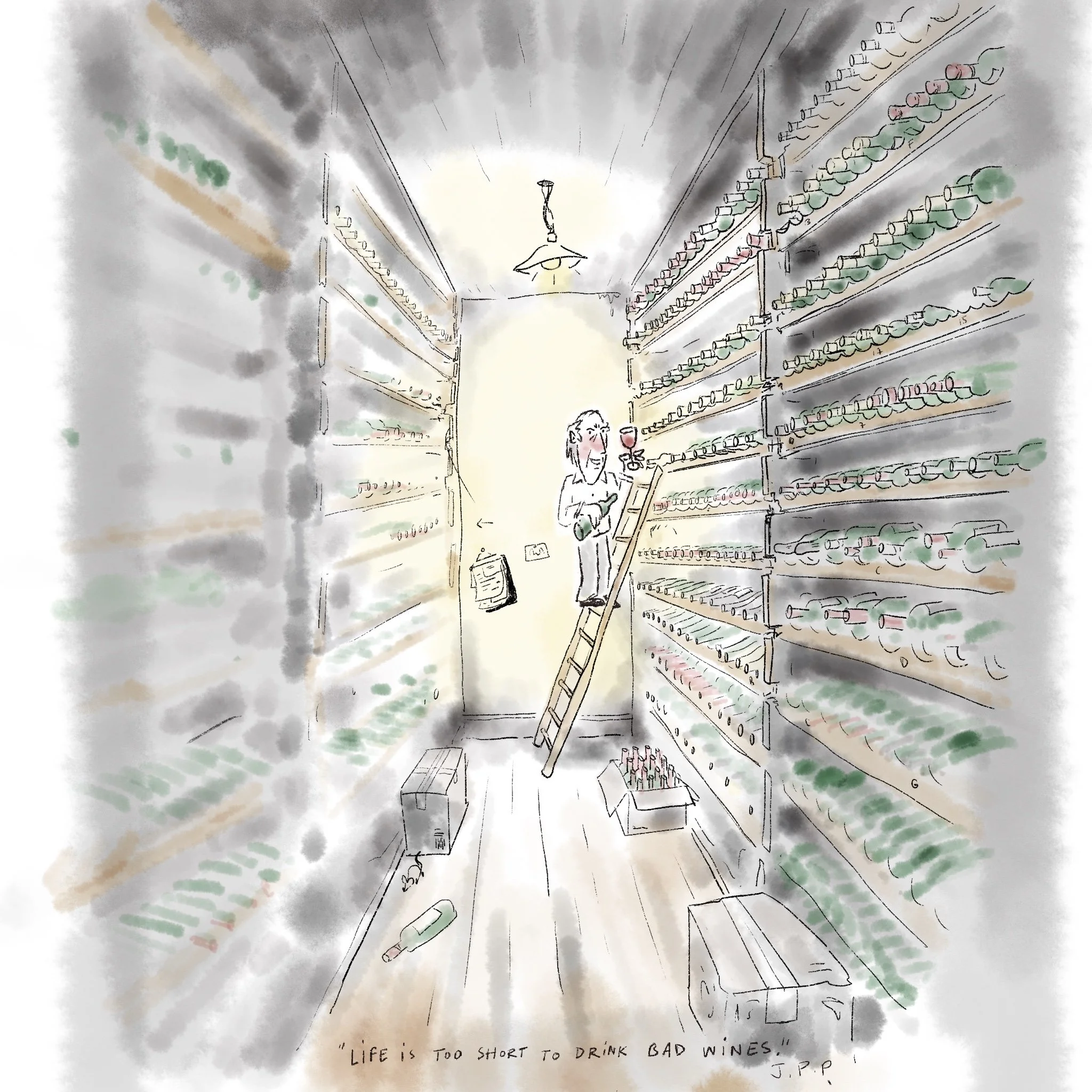 A watercolor illustration of a wine cellar with shelves filled with bottles, a person holding a glass of wine, standing on a ladder. The scene is illuminated by a hanging light. There is a quote at the bottom that reads, 'Life is too short to drink b