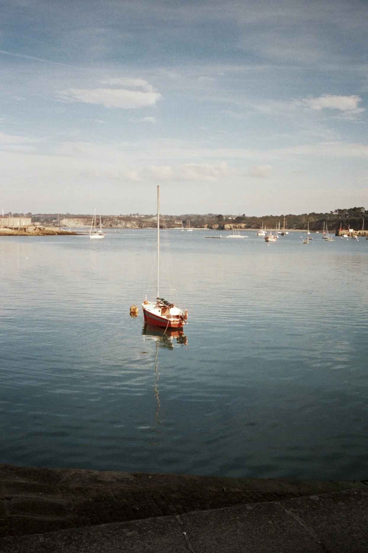 A small red sailboat floating on calm water in a harbor, with multiple other boats and sailboats in the background, and a rocky shoreline with buildings and trees.