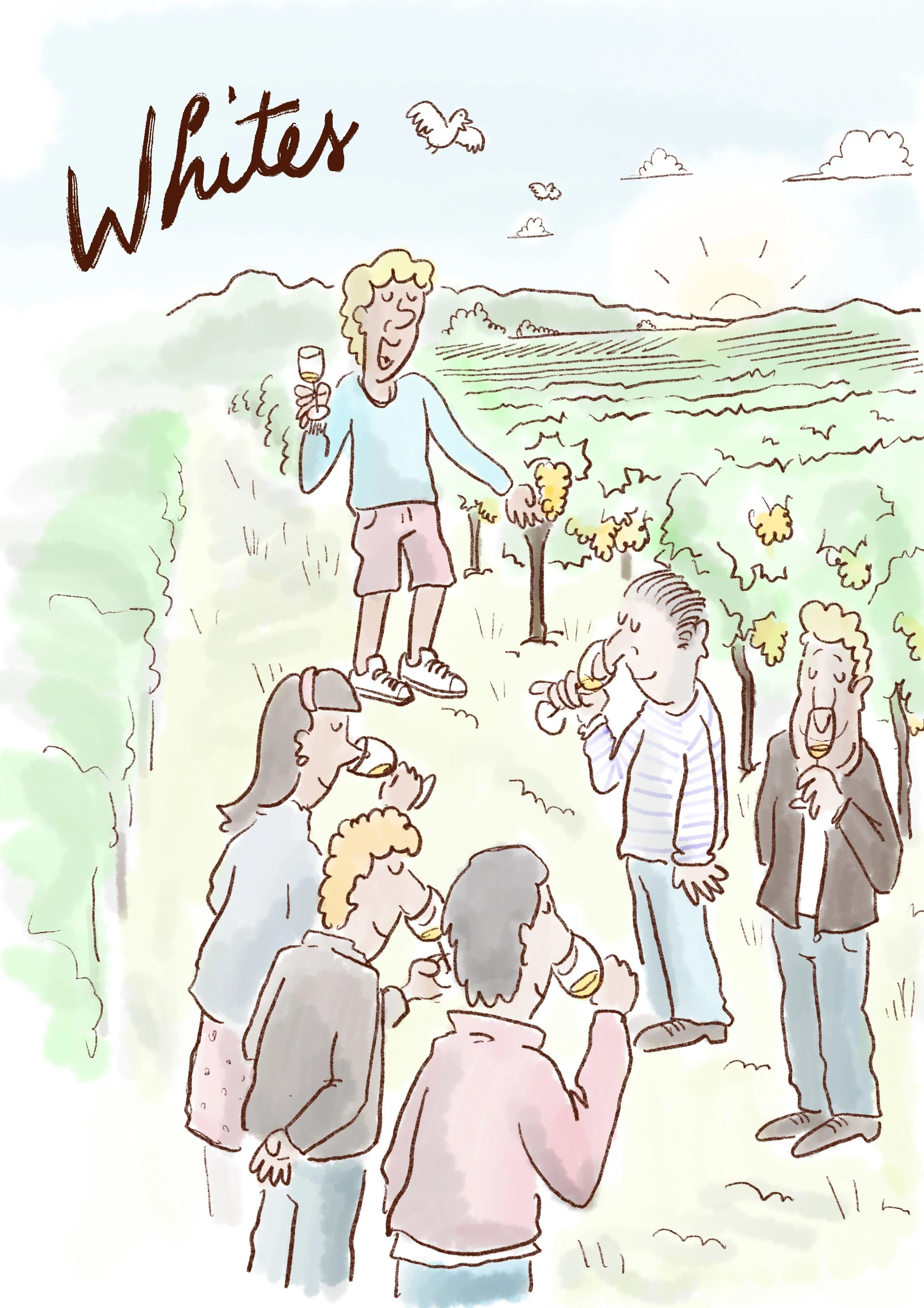 An illustration of a group of people doing a wine tasting while walking through parcels in a vineyard. 