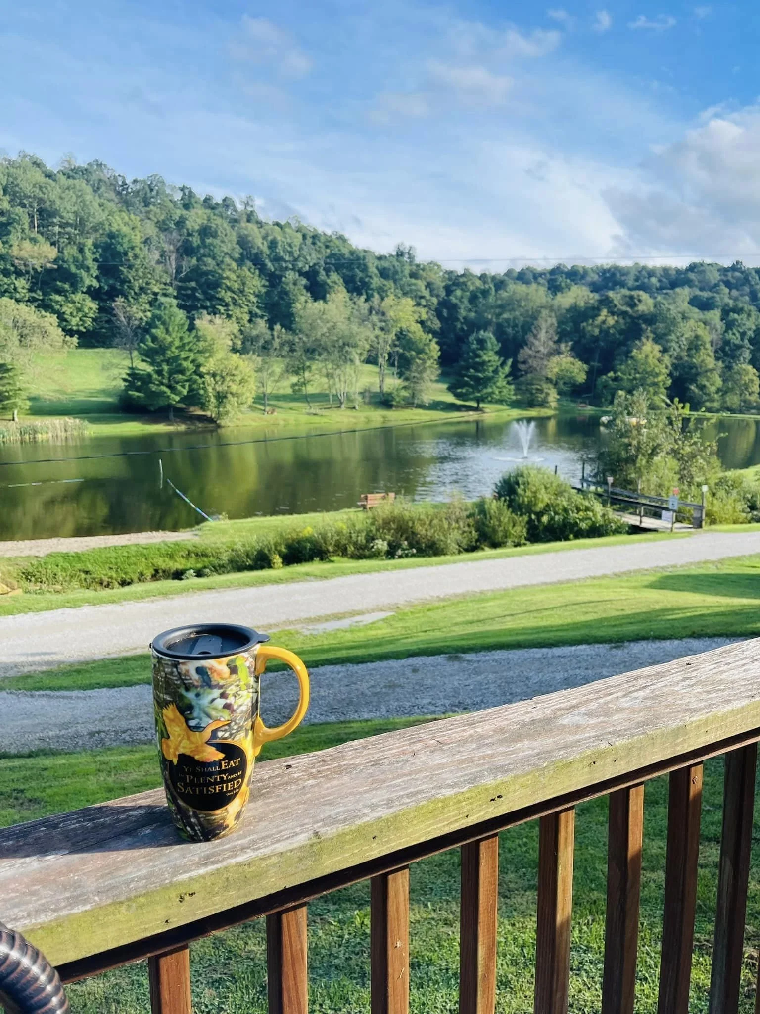 A colorful coffee mug with cartoon characters sitting on a wooden railing overlooking a scenic pond and lush green trees under a partly cloudy sky.
