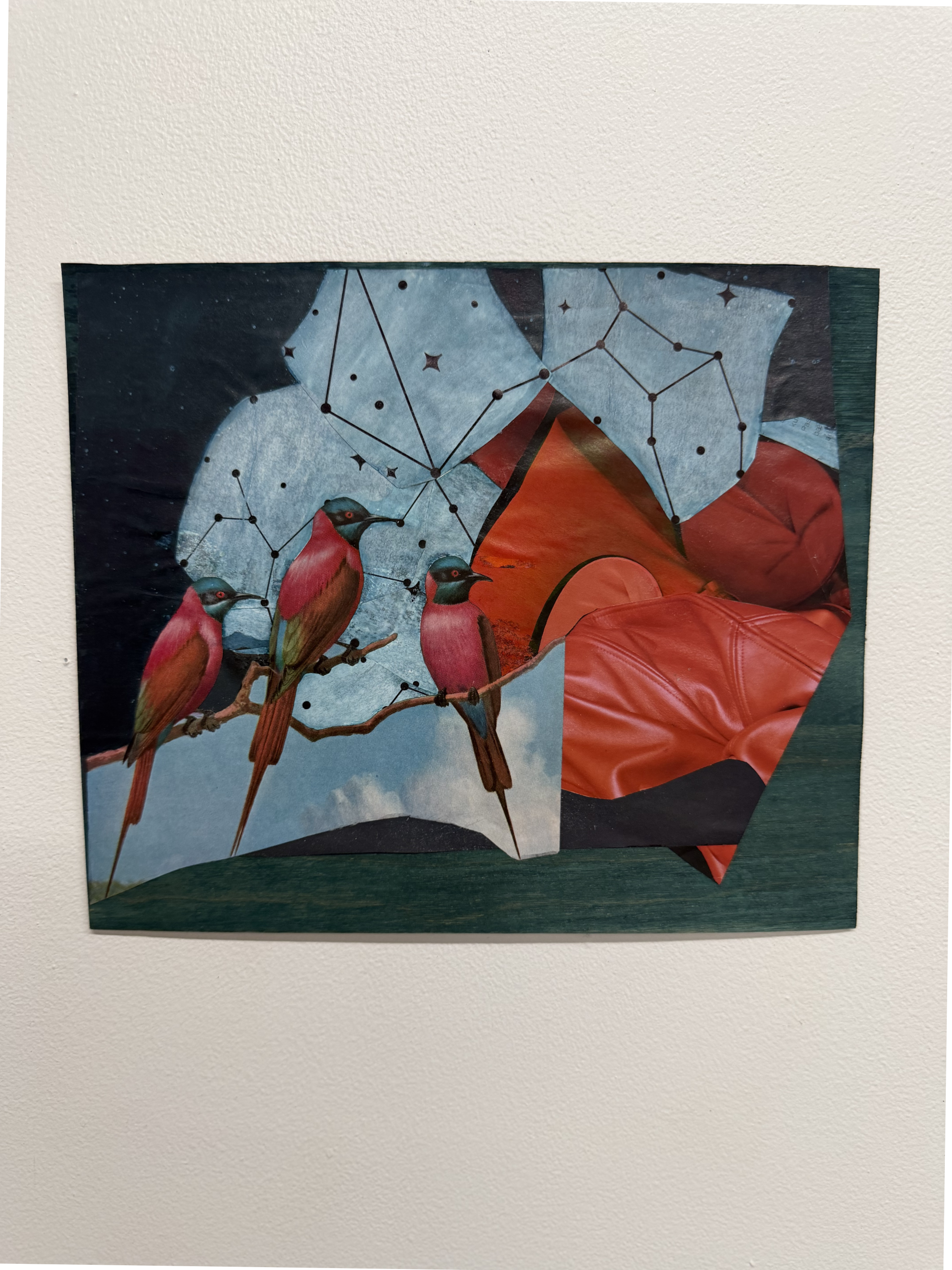Julie Blankenship

Branch 
9” x 11.75”
2k26

Socials:
@privateyesf
