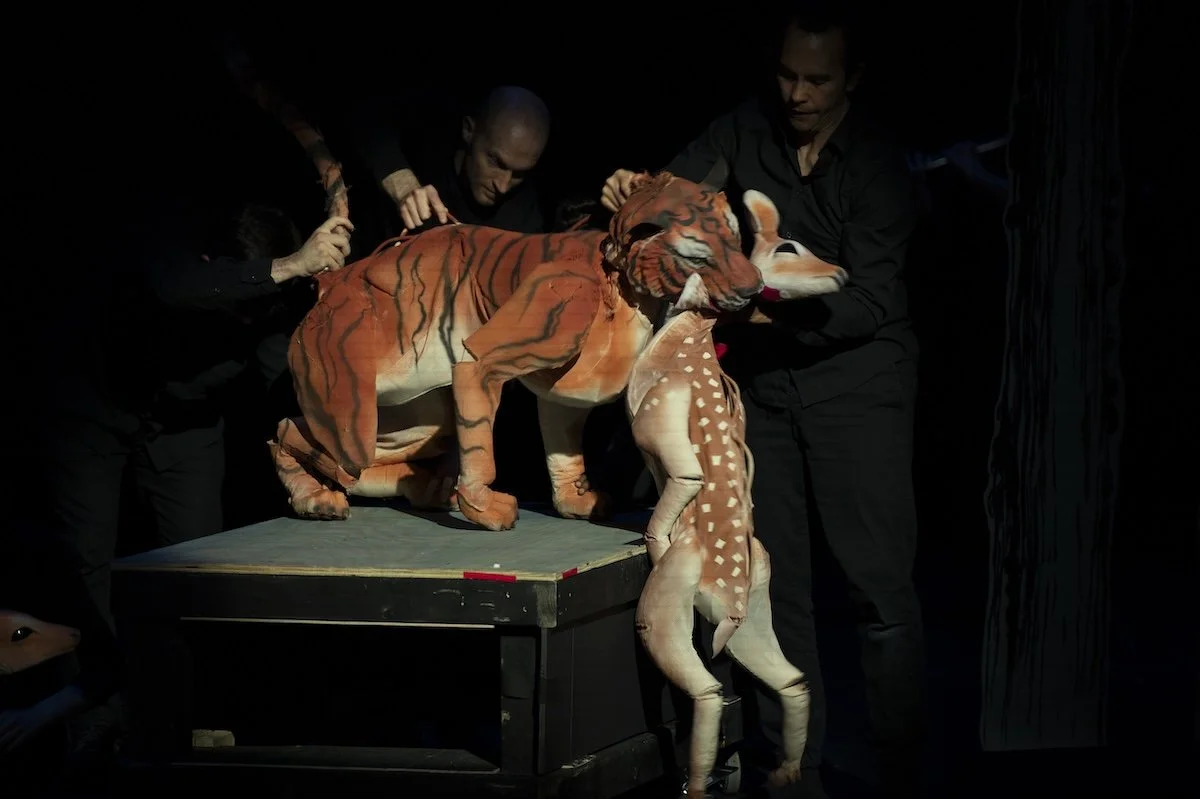 2026.08.16_CIPF_Puppet_Lab_Performance-146.jpg