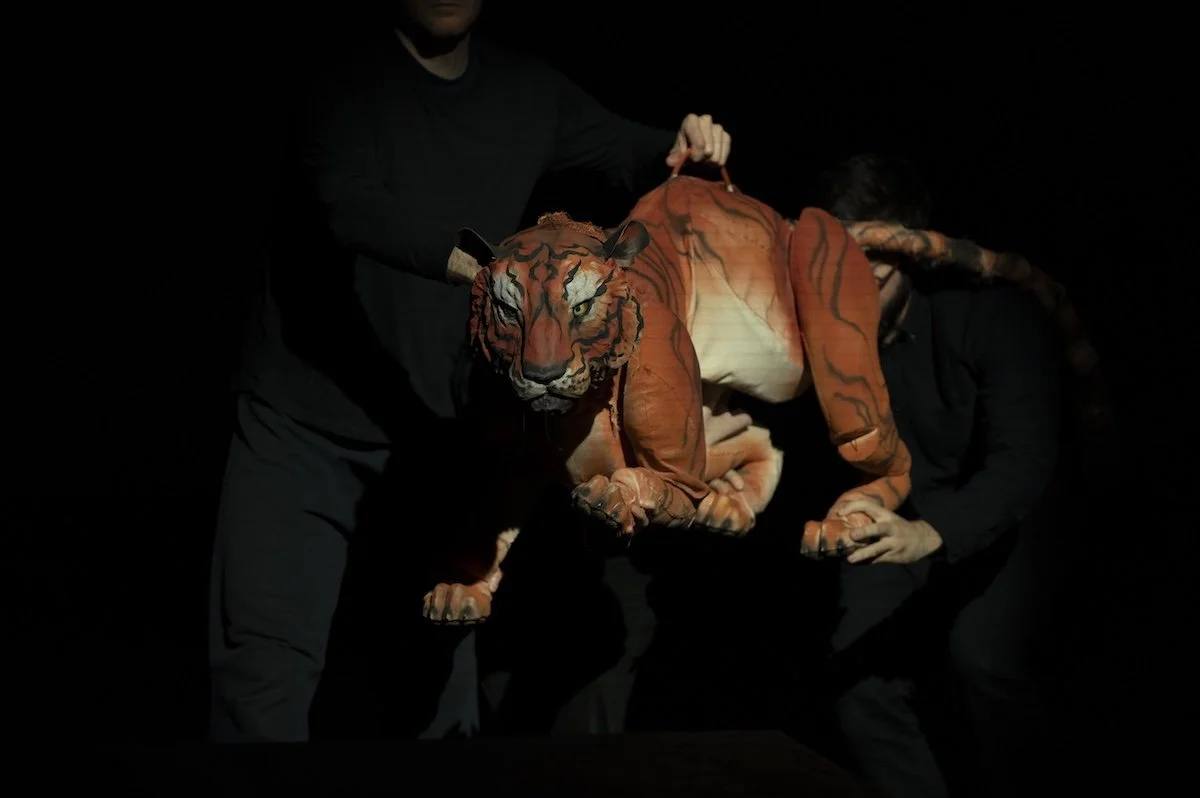 2026.08.16_CIPF_Puppet_Lab_Performance-131.jpg