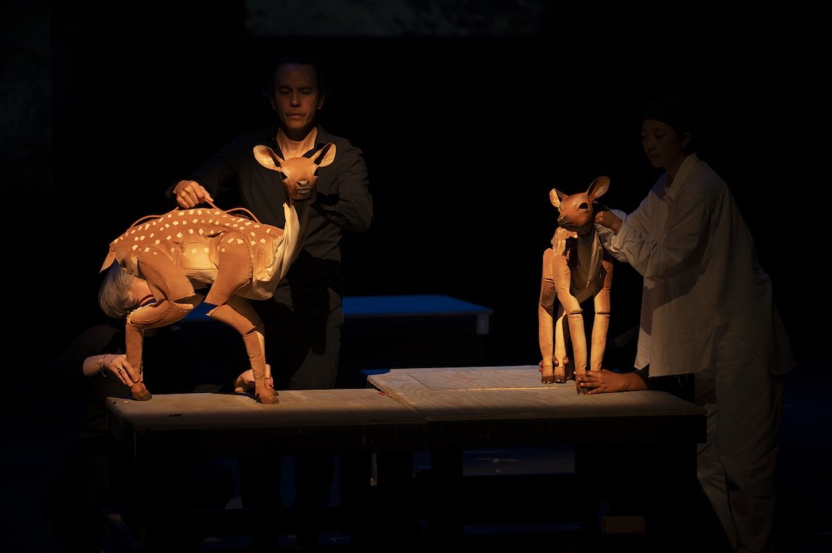 2026.08.16_CIPF_Puppet_Lab_Performance-129.jpg
