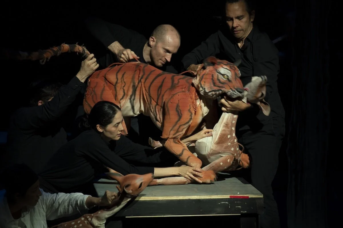 2026.08.16_CIPF_Puppet_Lab_Performance-144.jpg