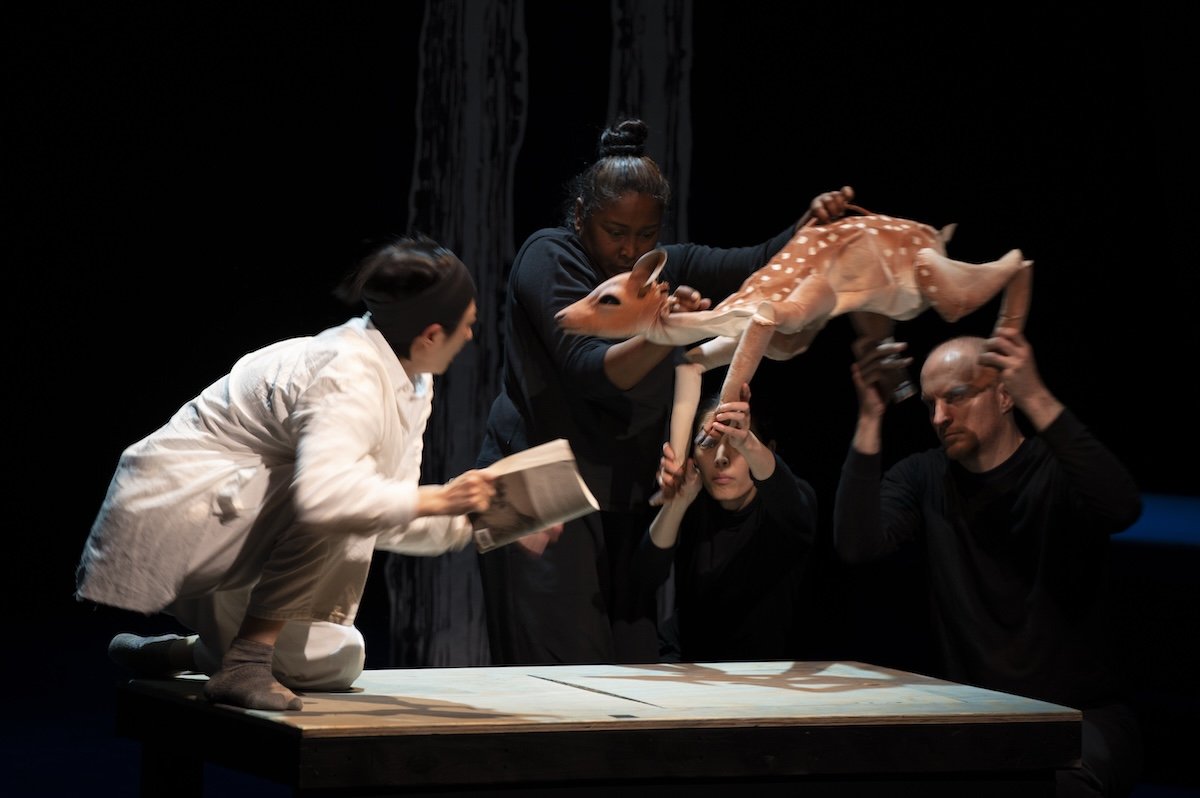 2026.08.16_CIPF_Puppet_Lab_Performance-116.jpg