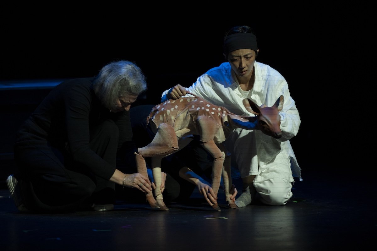 2026.08.16_CIPF_Puppet_Lab_Performance-148.jpg