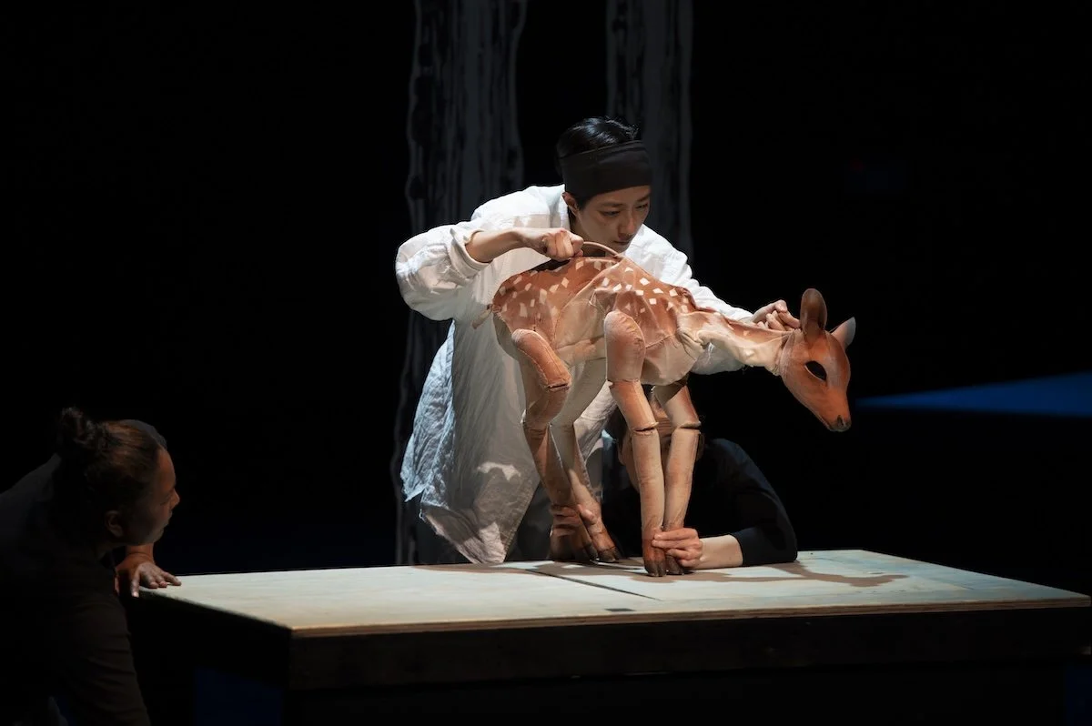 2026.08.16_CIPF_Puppet_Lab_Performance-121.jpg