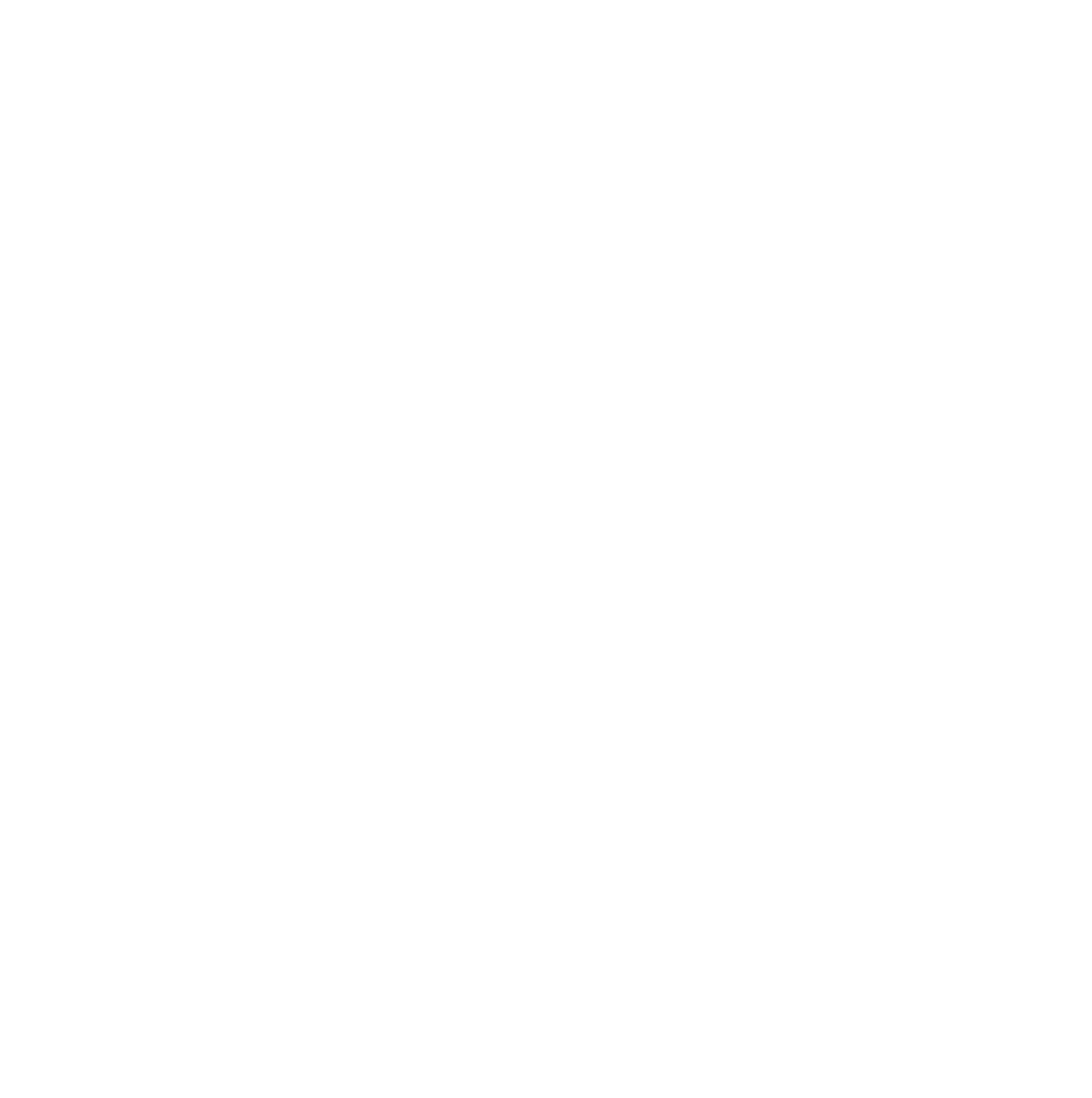 CENTMUN (Copy) (Copy)
